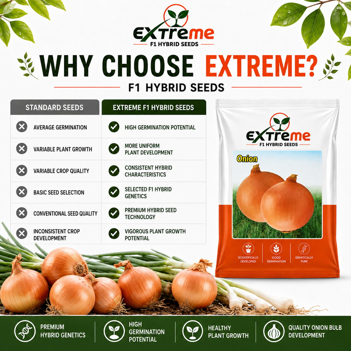 Extreme F1 Hybrid Copper Onion Seeds 10 GM | Premium Onion Vegetable Seeds | Pyaz Seeds for Home Garden, Kitchen Garden, Terrace Garden, Pots, Grow Bags & Outdoor Farming