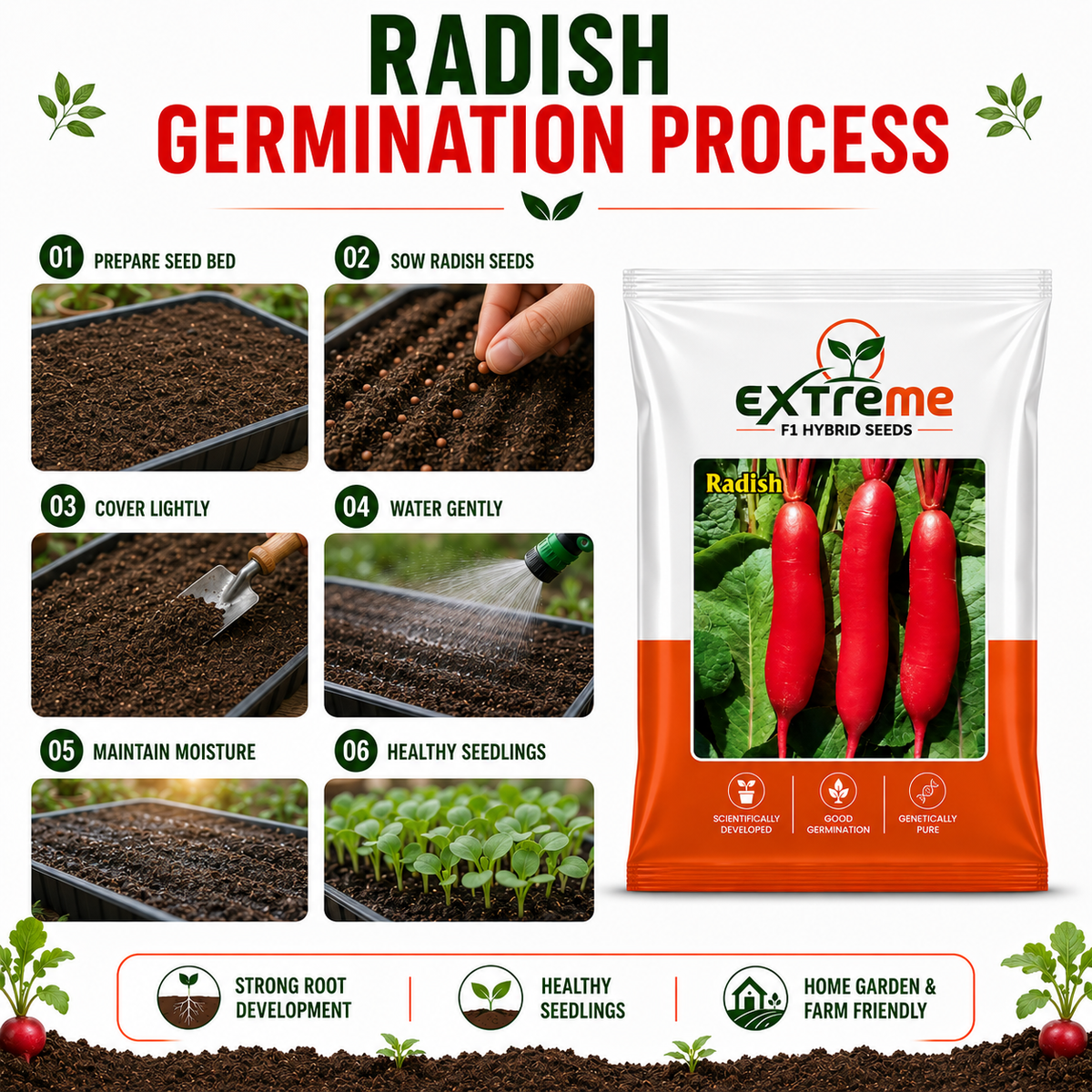 Extreme F1 Hybrid Radish Seeds 5 GM | Premium Red Radish Vegetable Seeds | Mooli Seeds for Home Garden, Kitchen Garden, Terrace Garden, Pots, Grow Bags & Outdoor Farming