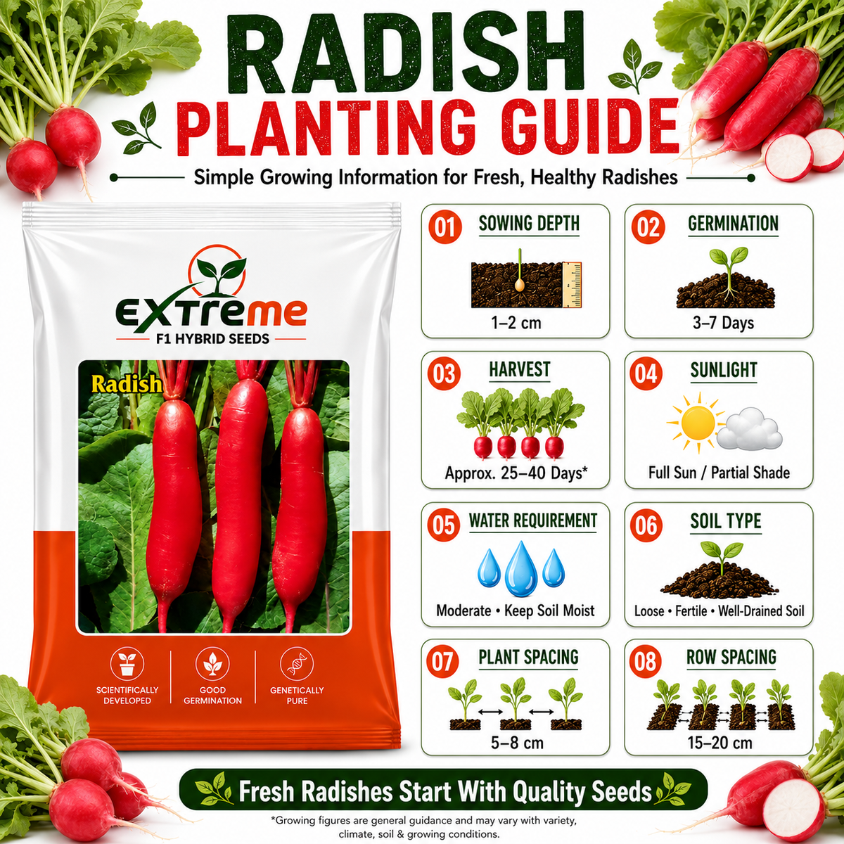 Extreme F1 Hybrid Radish Seeds 5 GM | Premium Red Radish Vegetable Seeds | Mooli Seeds for Home Garden, Kitchen Garden, Terrace Garden, Pots, Grow Bags & Outdoor Farming