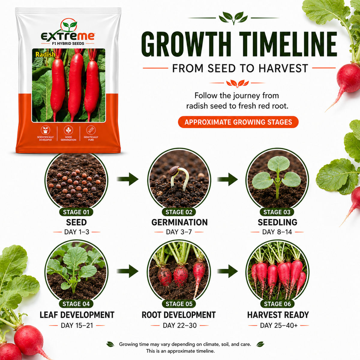 Extreme F1 Hybrid Radish Seeds 5 GM | Premium Red Radish Vegetable Seeds | Mooli Seeds for Home Garden, Kitchen Garden, Terrace Garden, Pots, Grow Bags & Outdoor Farming