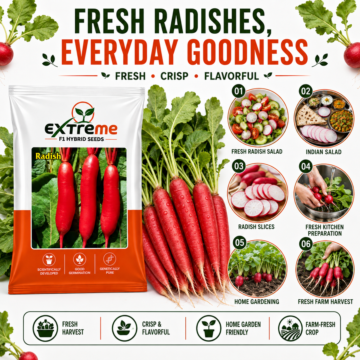 Extreme F1 Hybrid Radish Seeds 5 GM | Premium Red Radish Vegetable Seeds | Mooli Seeds for Home Garden, Kitchen Garden, Terrace Garden, Pots, Grow Bags & Outdoor Farming