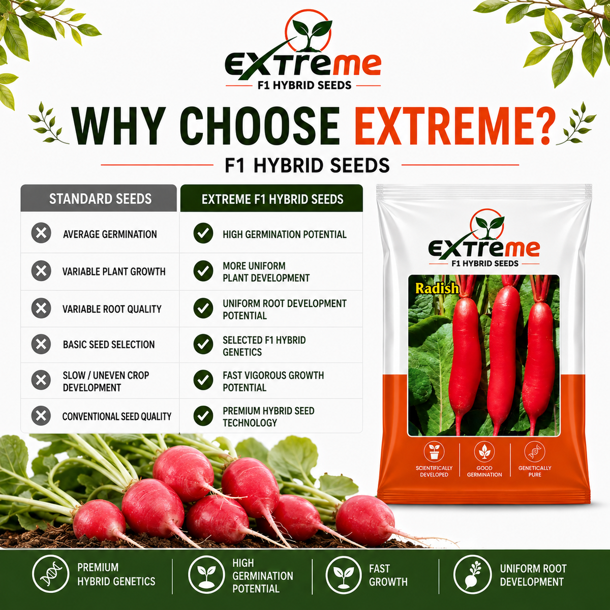 Extreme F1 Hybrid Radish Seeds 5 GM | Premium Red Radish Vegetable Seeds | Mooli Seeds for Home Garden, Kitchen Garden, Terrace Garden, Pots, Grow Bags & Outdoor Farming