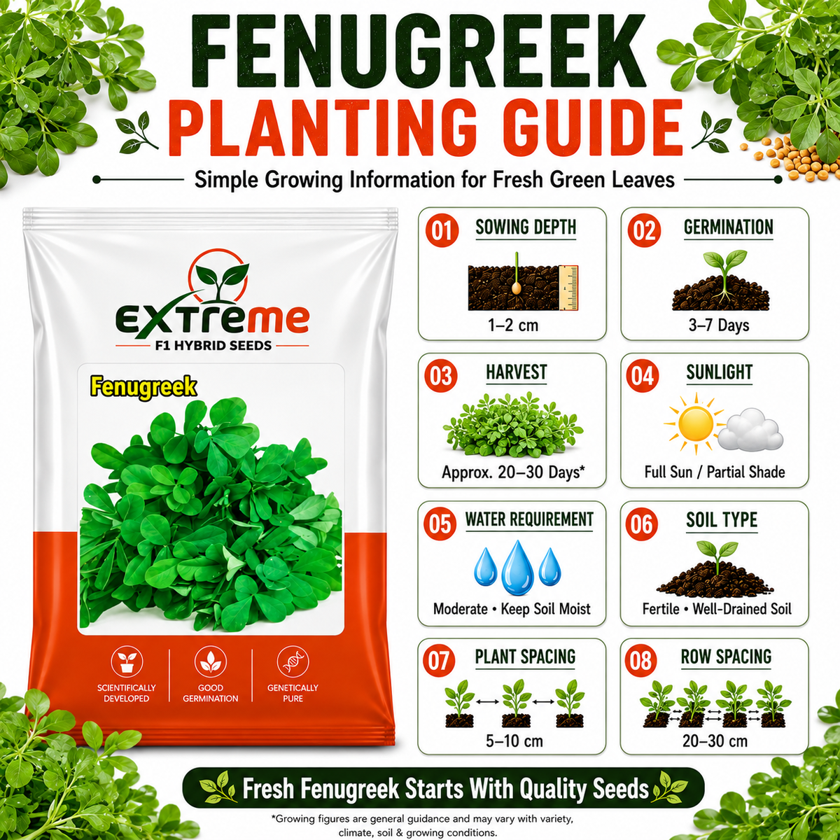 EXTREME Fenugreek Seeds 15GM | Metha Seeds for Home Garden & Kitchen Garden | Easy to Grow Green Leafy Vegetable Seeds