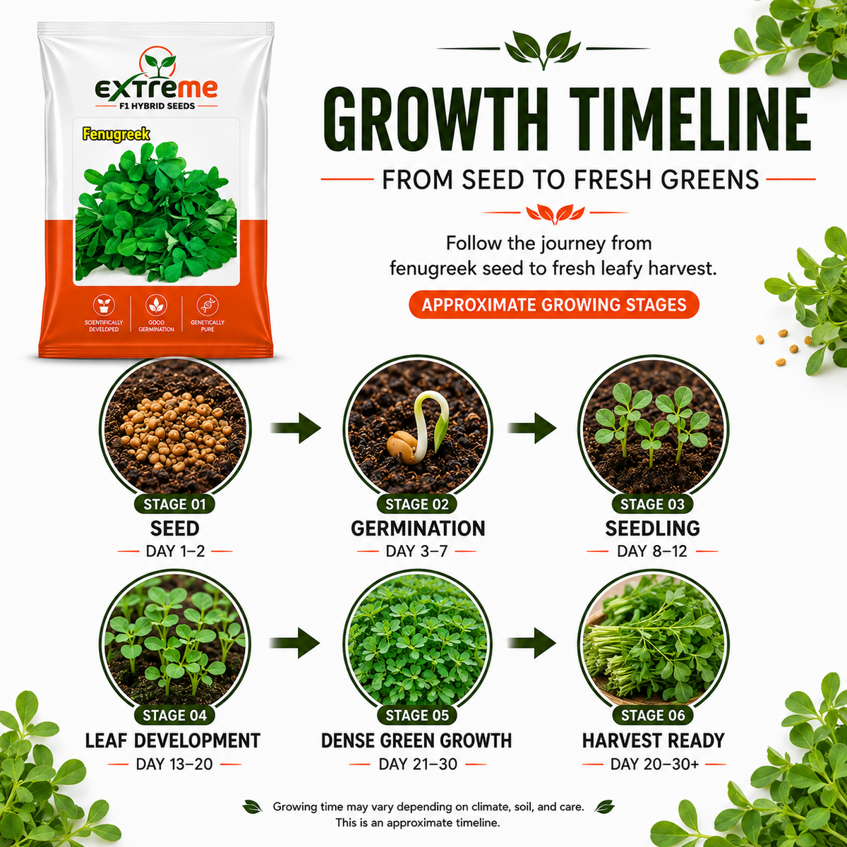 EXTREME Fenugreek Seeds 15GM | Metha Seeds for Home Garden & Kitchen Garden | Easy to Grow Green Leafy Vegetable Seeds