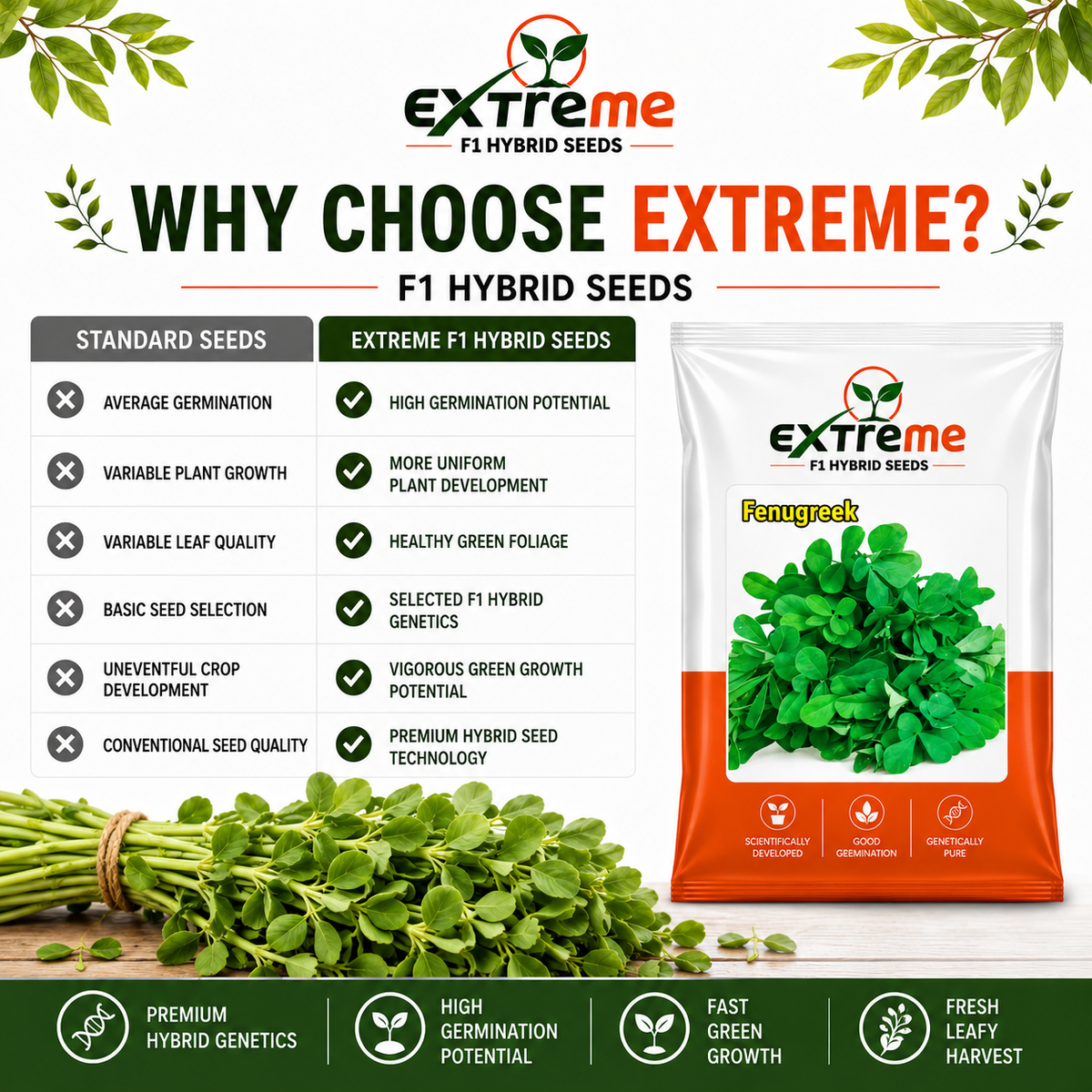 EXTREME Fenugreek Seeds 15GM | Metha Seeds for Home Garden & Kitchen Garden | Easy to Grow Green Leafy Vegetable Seeds
