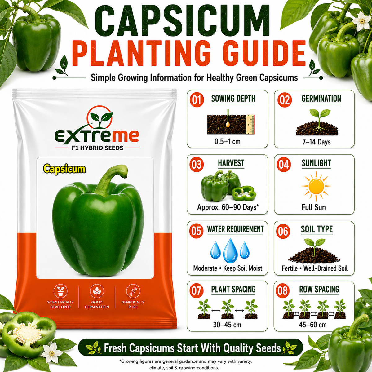 Extreme F1 Hybrid Capsicum Seeds 1 GM (1000 MG) | Green Capsicum Vegetable Seeds for Home Garden, Kitchen Garden, Terrace Garden & Outdoor Farming