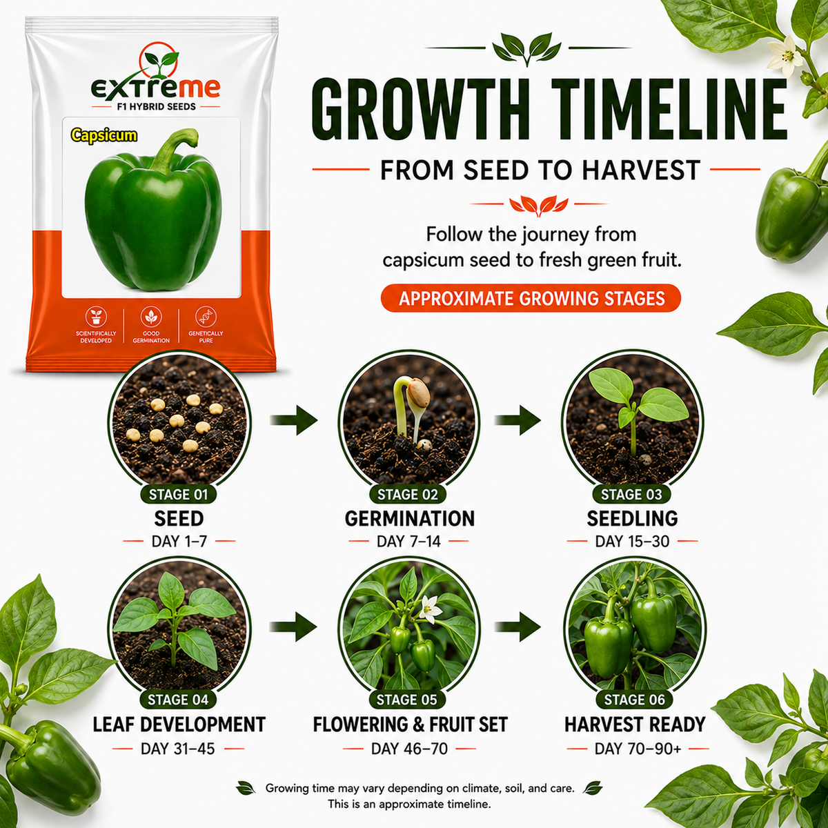 Extreme F1 Hybrid Capsicum Seeds 1 GM (1000 MG) | Green Capsicum Vegetable Seeds for Home Garden, Kitchen Garden, Terrace Garden & Outdoor Farming
