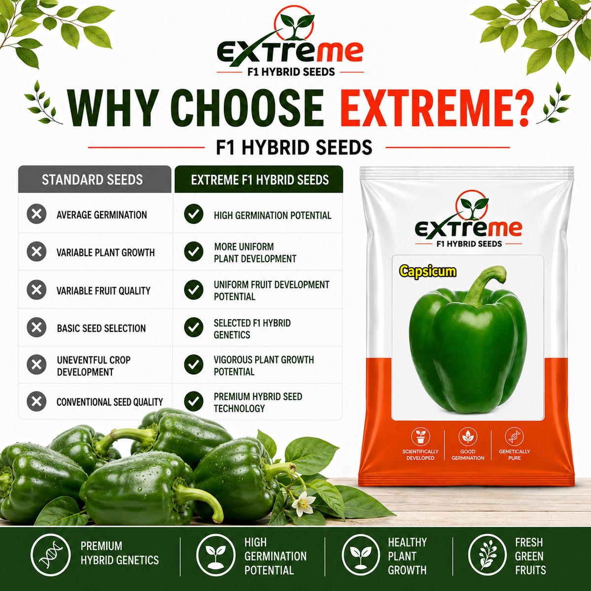 Extreme F1 Hybrid Capsicum Seeds 1 GM (1000 MG) | Green Capsicum Vegetable Seeds for Home Garden, Kitchen Garden, Terrace Garden & Outdoor Farming