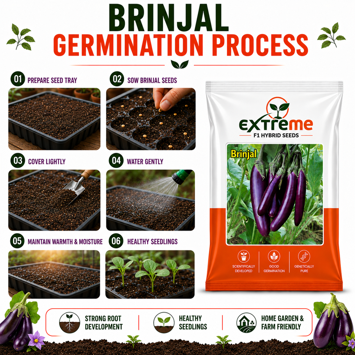 Extreme F1 Hybrid Long Purple Brinjal Seeds 1 GM | Long Purple Brinjal Vegetable Seeds | Eggplant Seeds for Home Garden, Kitchen Garden, Terrace Garden, Pots, Grow Bags & Outdoor Farming