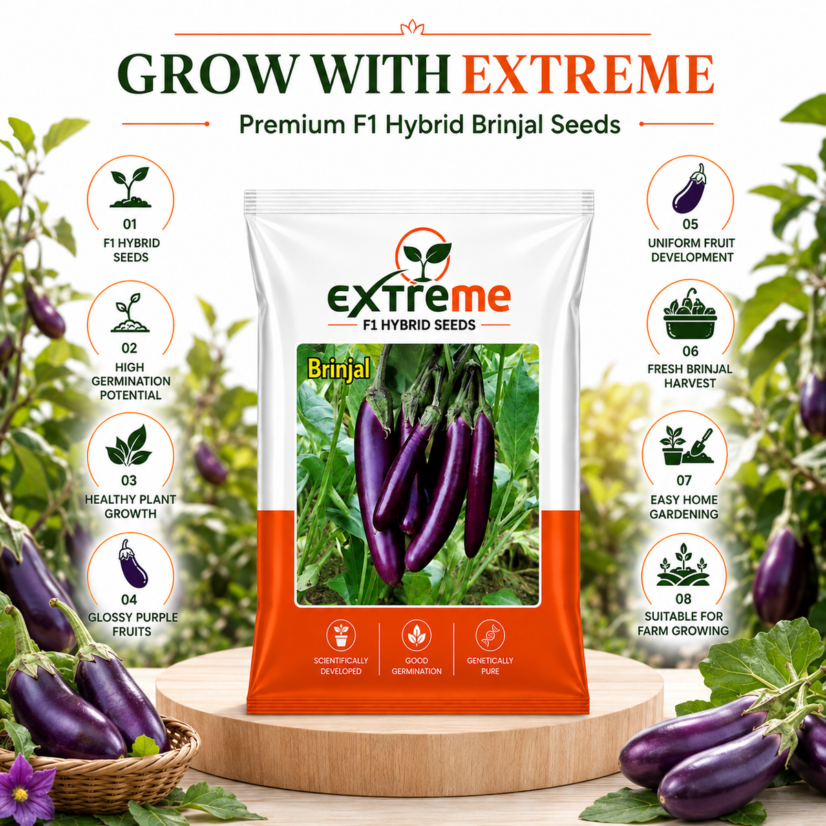 Extreme F1 Hybrid Long Purple Brinjal Seeds 1 GM | Long Purple Brinjal Vegetable Seeds | Eggplant Seeds for Home Garden, Kitchen Garden, Terrace Garden, Pots, Grow Bags & Outdoor Farming