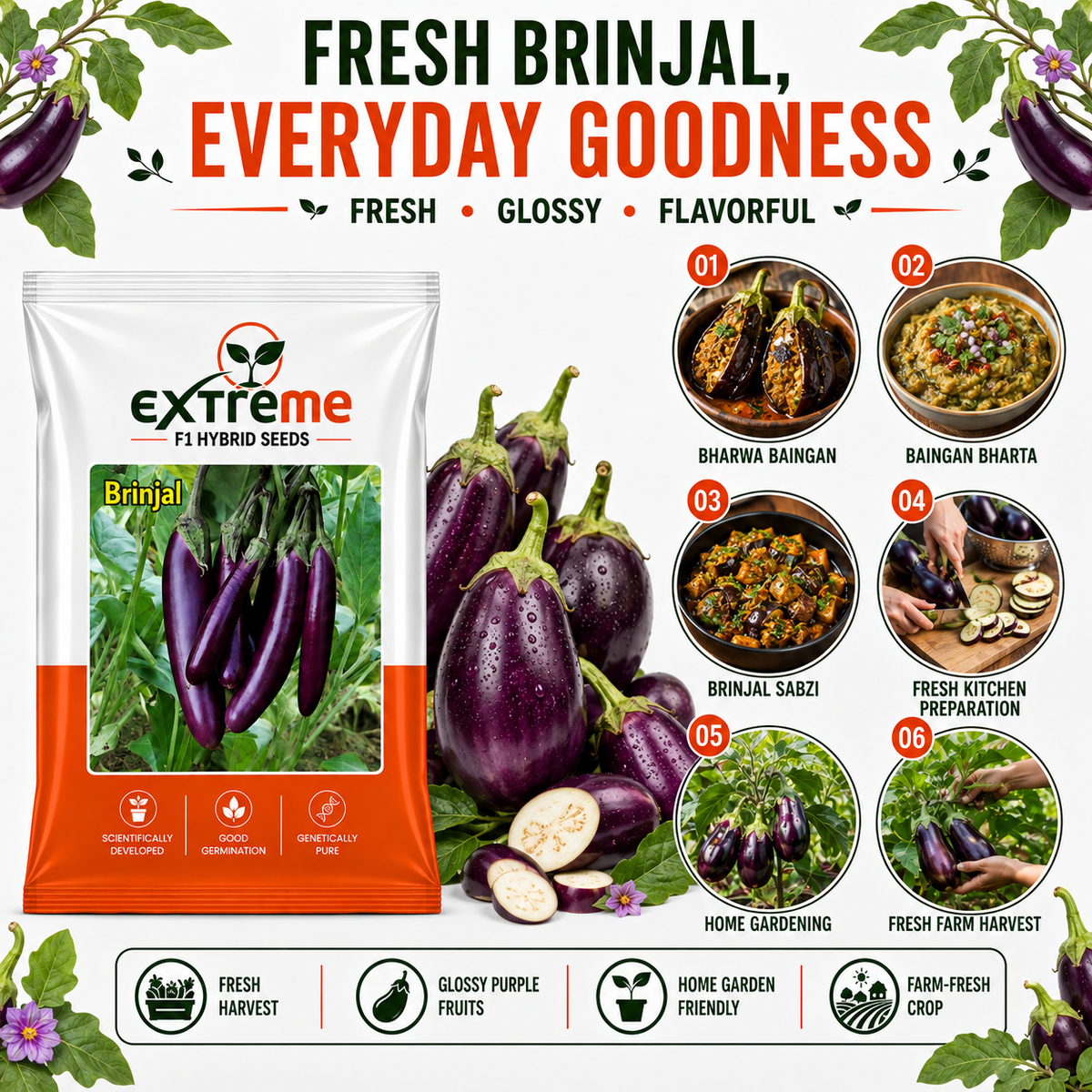 Extreme F1 Hybrid Long Purple Brinjal Seeds 1 GM | Long Purple Brinjal Vegetable Seeds | Eggplant Seeds for Home Garden, Kitchen Garden, Terrace Garden, Pots, Grow Bags & Outdoor Farming