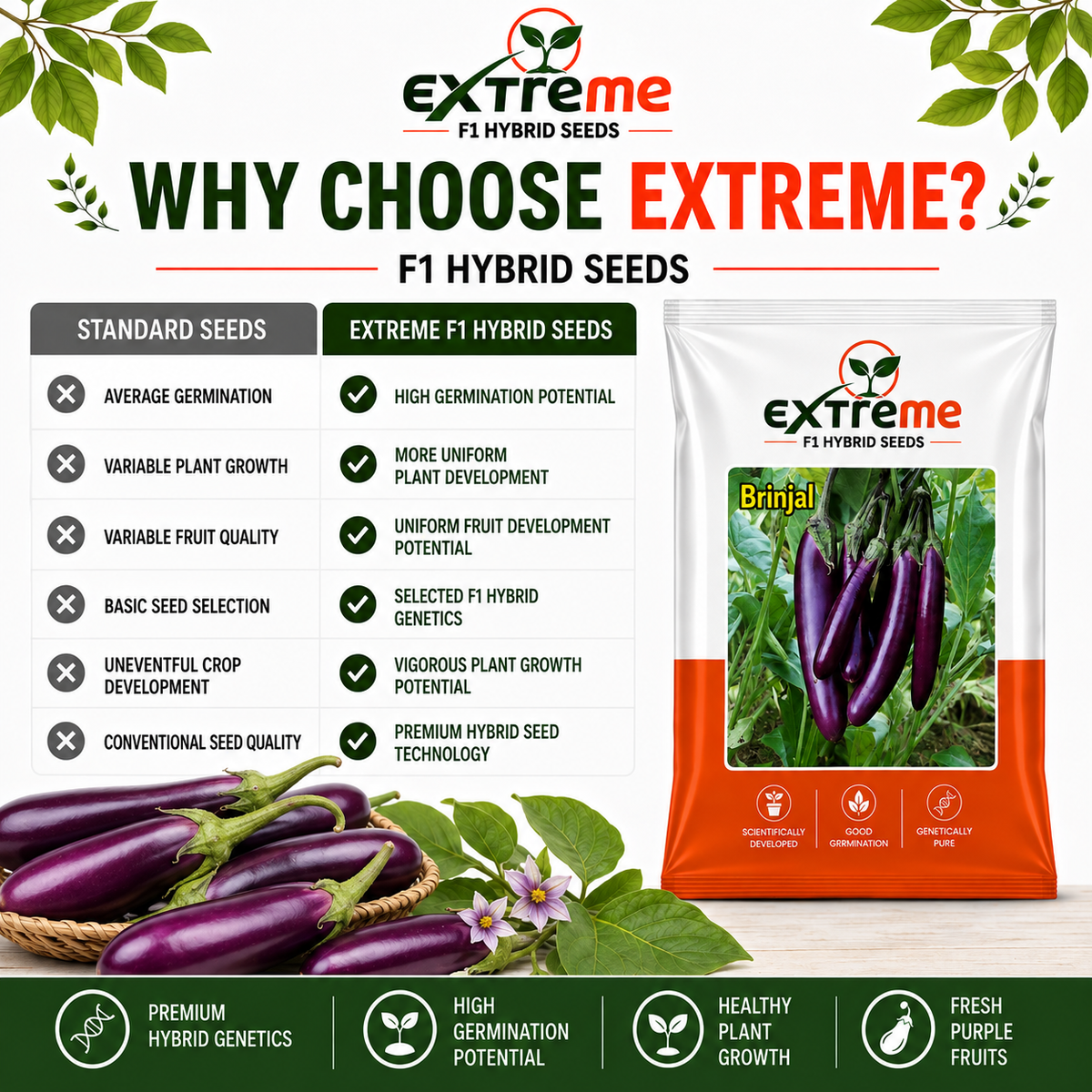 Extreme F1 Hybrid Long Purple Brinjal Seeds 1 GM | Long Purple Brinjal Vegetable Seeds | Eggplant Seeds for Home Garden, Kitchen Garden, Terrace Garden, Pots, Grow Bags & Outdoor Farming