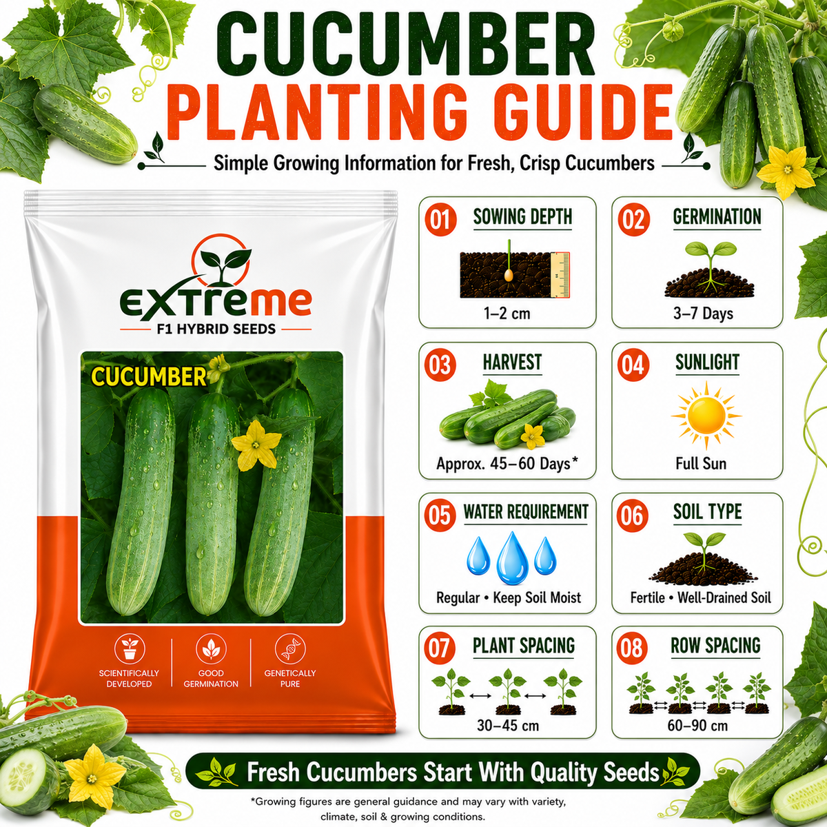 Extreme F1 Hybrid Cucumber Seeds 2 GM | Premium Kheera Seeds | Cucumber Vegetable Seeds for Home Garden, Kitchen Garden, Terrace Garden, Pots, Grow Bags & Outdoor Farming