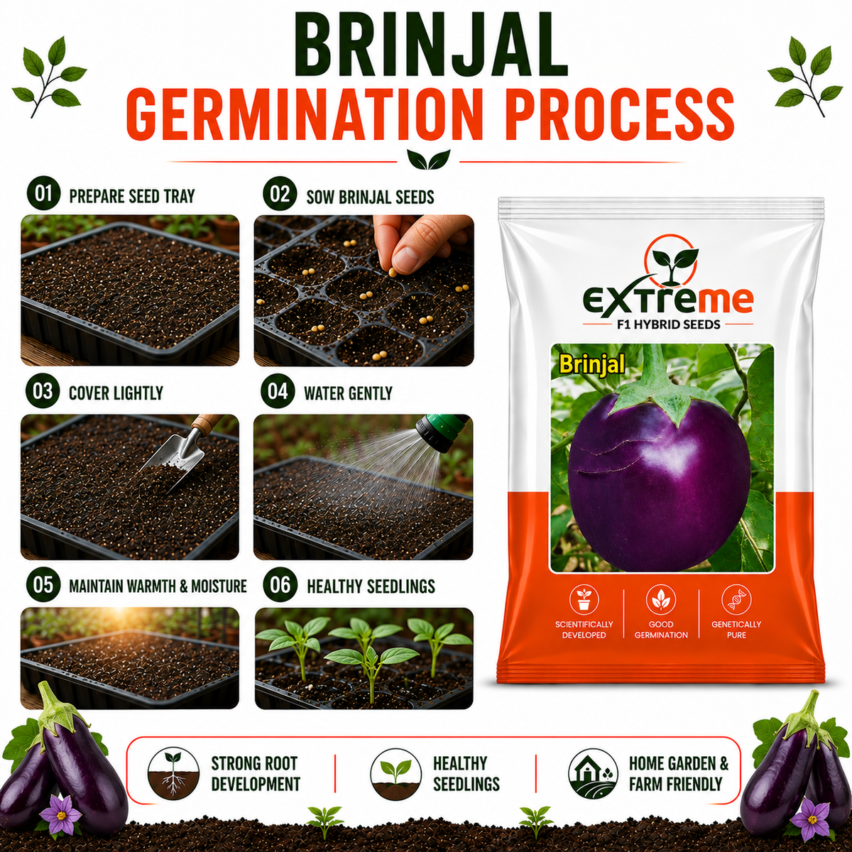 Extreme F1 Hybrid Brinjal Seeds 5 GM | Eggplant/Baingan Vegetable Seeds for Home Garden, Terrace Garden & Outdoor Farming | High Germination Vegetable Seeds