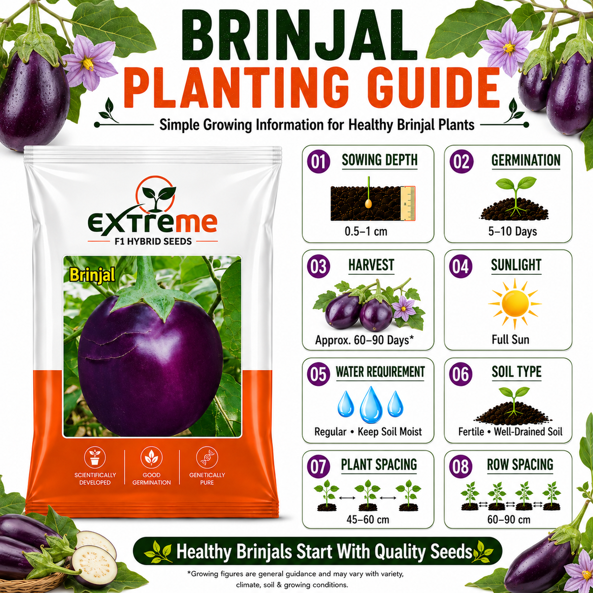 Extreme F1 Hybrid Brinjal Seeds 5 GM | Eggplant/Baingan Vegetable Seeds for Home Garden, Terrace Garden & Outdoor Farming | High Germination Vegetable Seeds
