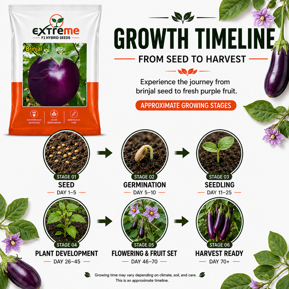 Extreme F1 Hybrid Brinjal Seeds 5 GM | Eggplant/Baingan Vegetable Seeds for Home Garden, Terrace Garden & Outdoor Farming | High Germination Vegetable Seeds