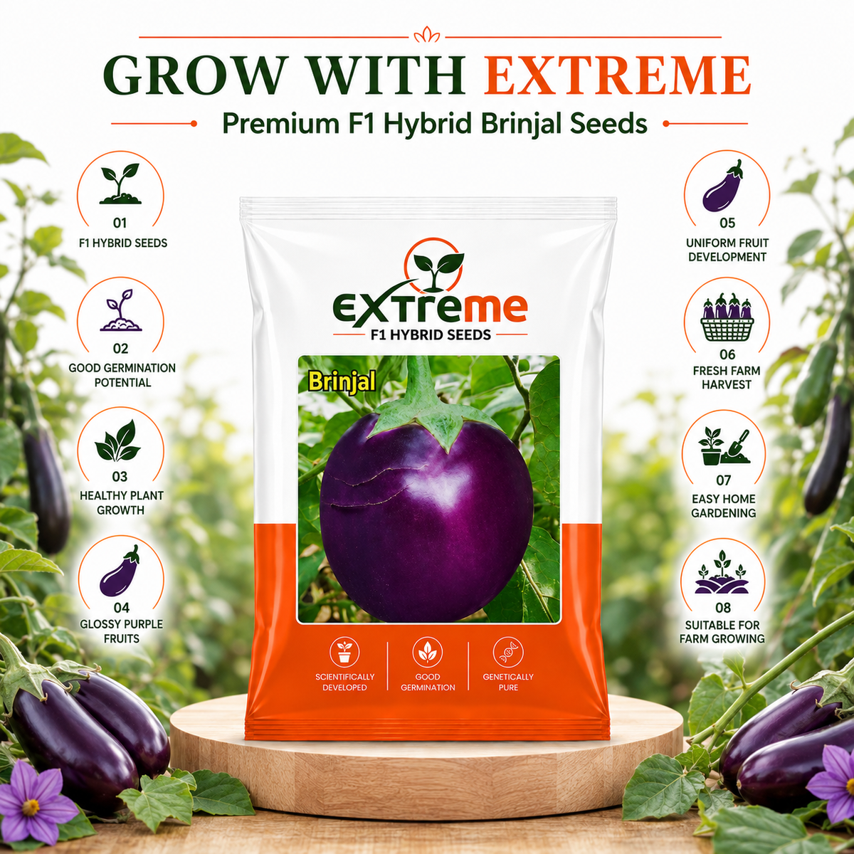 Extreme F1 Hybrid Brinjal Seeds 5 GM | Eggplant/Baingan Vegetable Seeds for Home Garden, Terrace Garden & Outdoor Farming | High Germination Vegetable Seeds