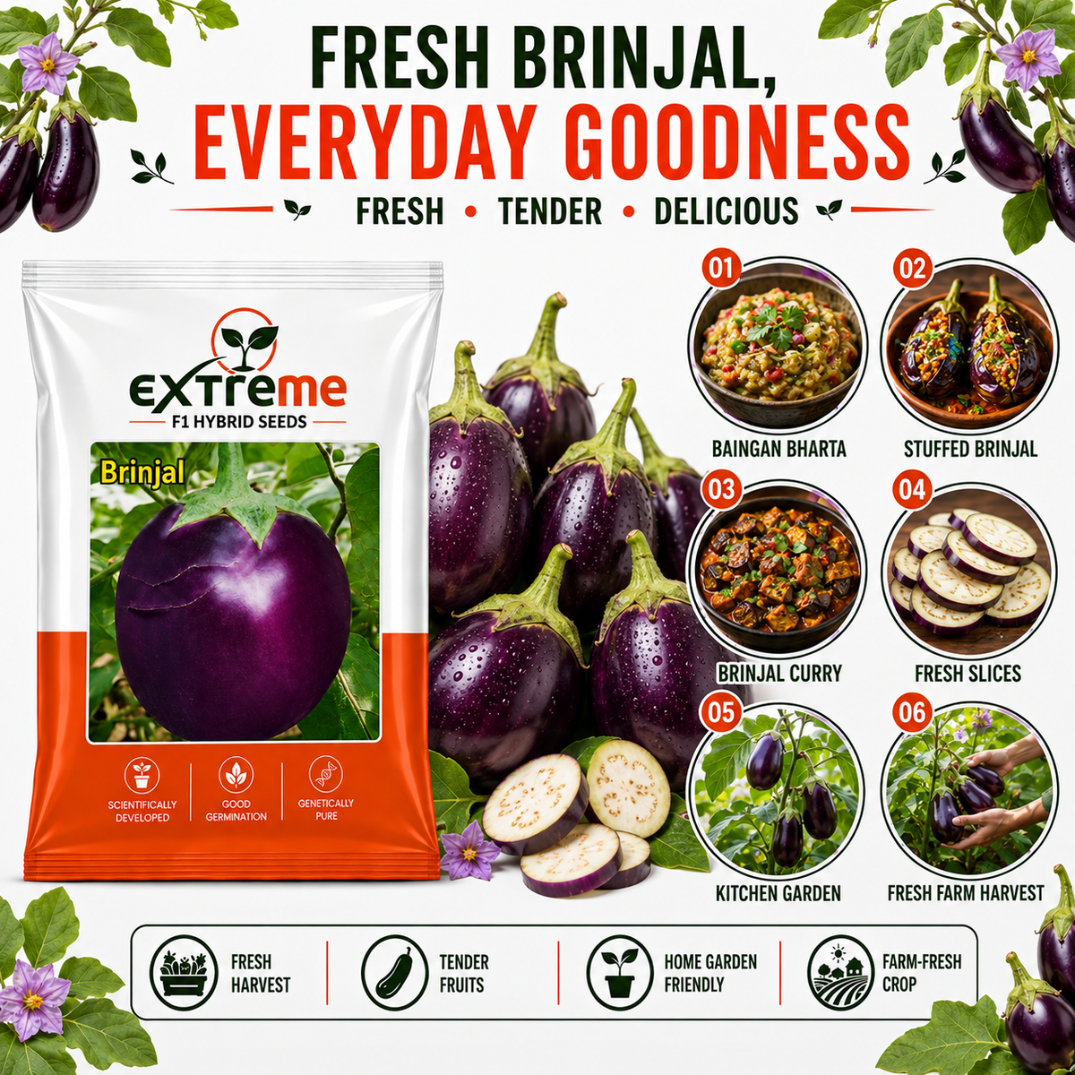 Extreme F1 Hybrid Brinjal Seeds 5 GM | Eggplant/Baingan Vegetable Seeds for Home Garden, Terrace Garden & Outdoor Farming | High Germination Vegetable Seeds