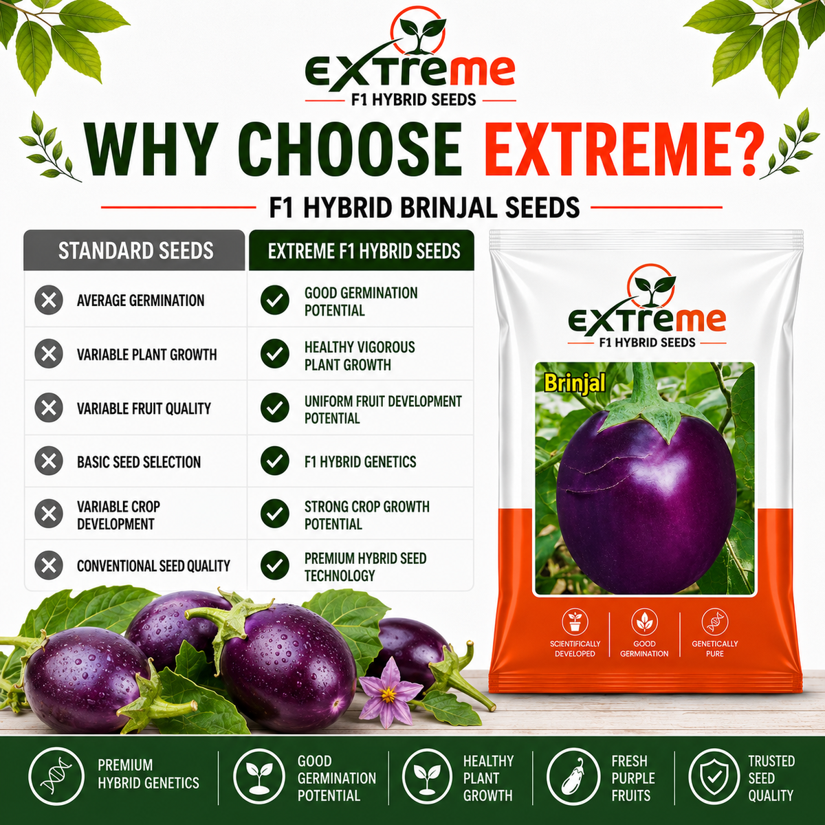 Extreme F1 Hybrid Brinjal Seeds 5 GM | Eggplant/Baingan Vegetable Seeds for Home Garden, Terrace Garden & Outdoor Farming | High Germination Vegetable Seeds
