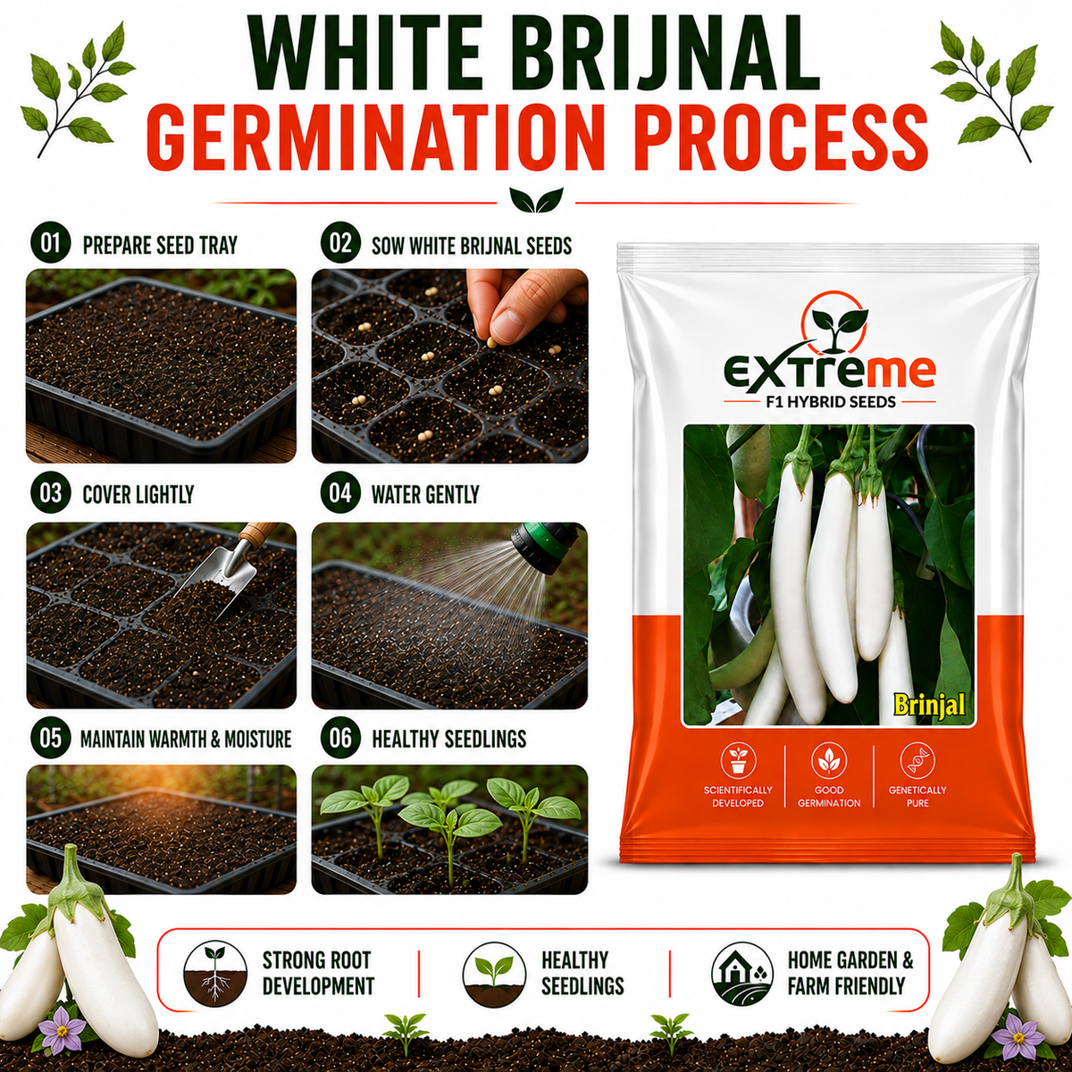 EXTREME F1 Hybrid White Brinjal Seeds for Home Garden & Outdoor Farming | White Eggplant Seeds for Kitchen Garden, Terrace Garden & Vegetable Growing | 1 GM
