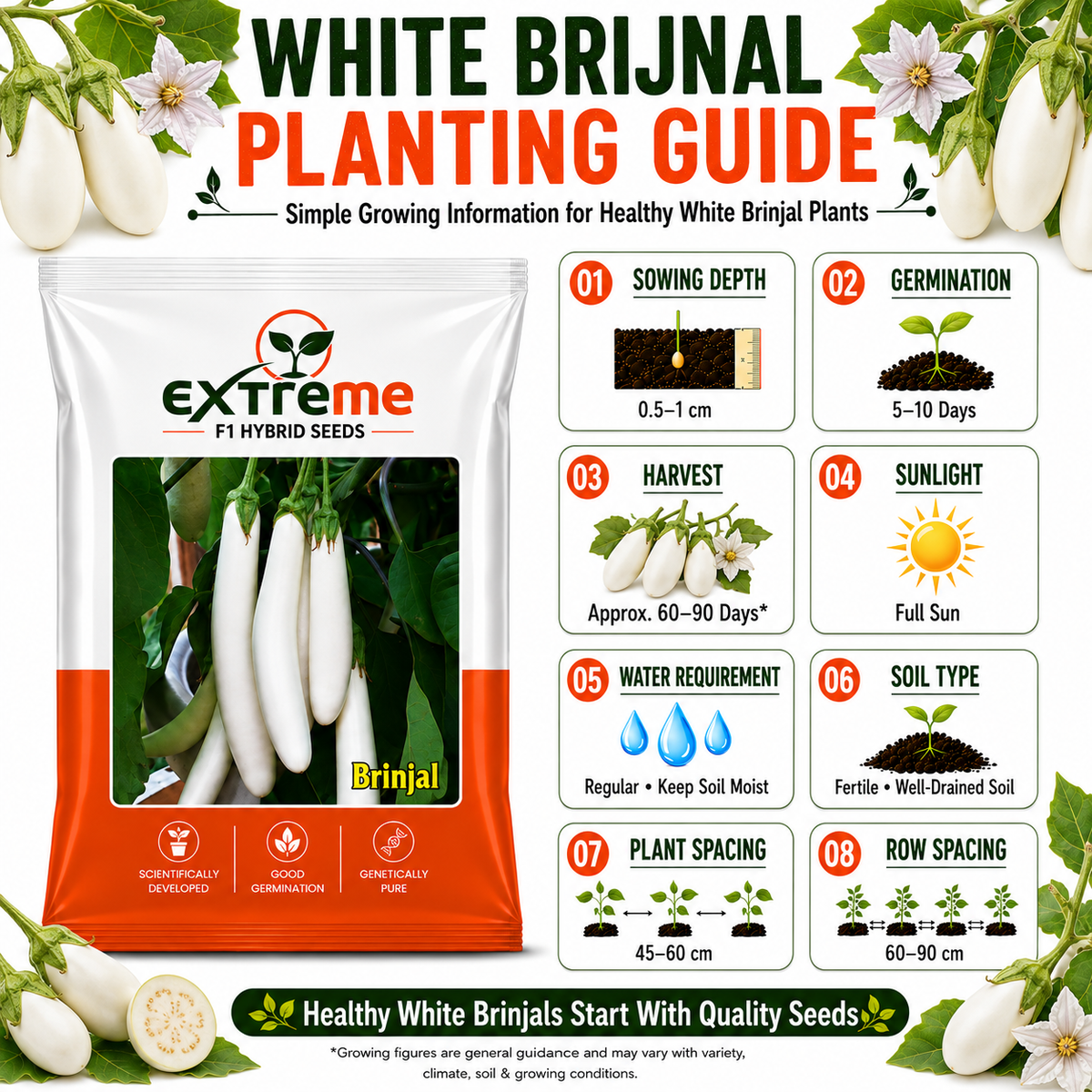 EXTREME F1 Hybrid White Brinjal Seeds for Home Garden & Outdoor Farming | White Eggplant Seeds for Kitchen Garden, Terrace Garden & Vegetable Growing | 1 GM