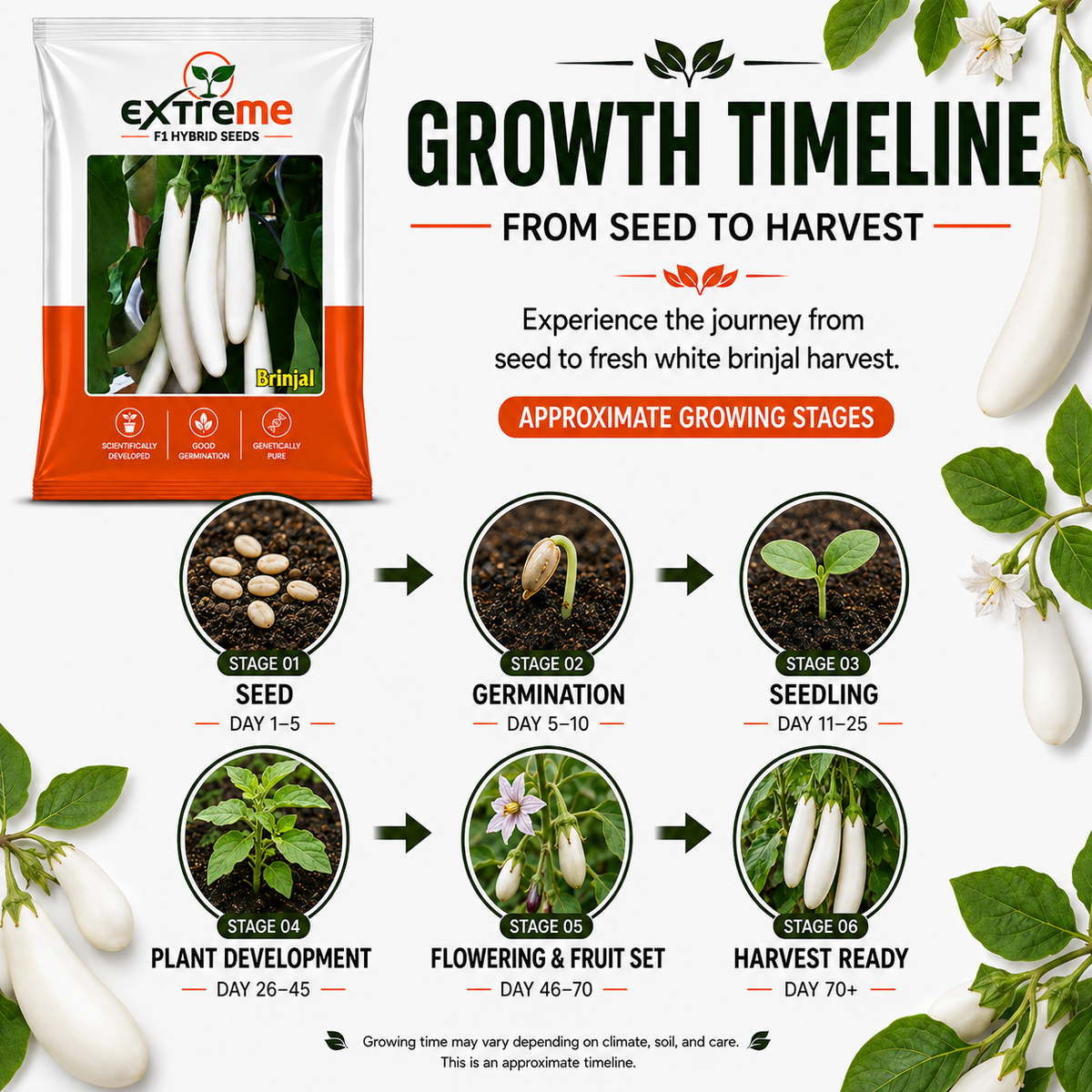 EXTREME F1 Hybrid White Brinjal Seeds for Home Garden & Outdoor Farming | White Eggplant Seeds for Kitchen Garden, Terrace Garden & Vegetable Growing | 1 GM