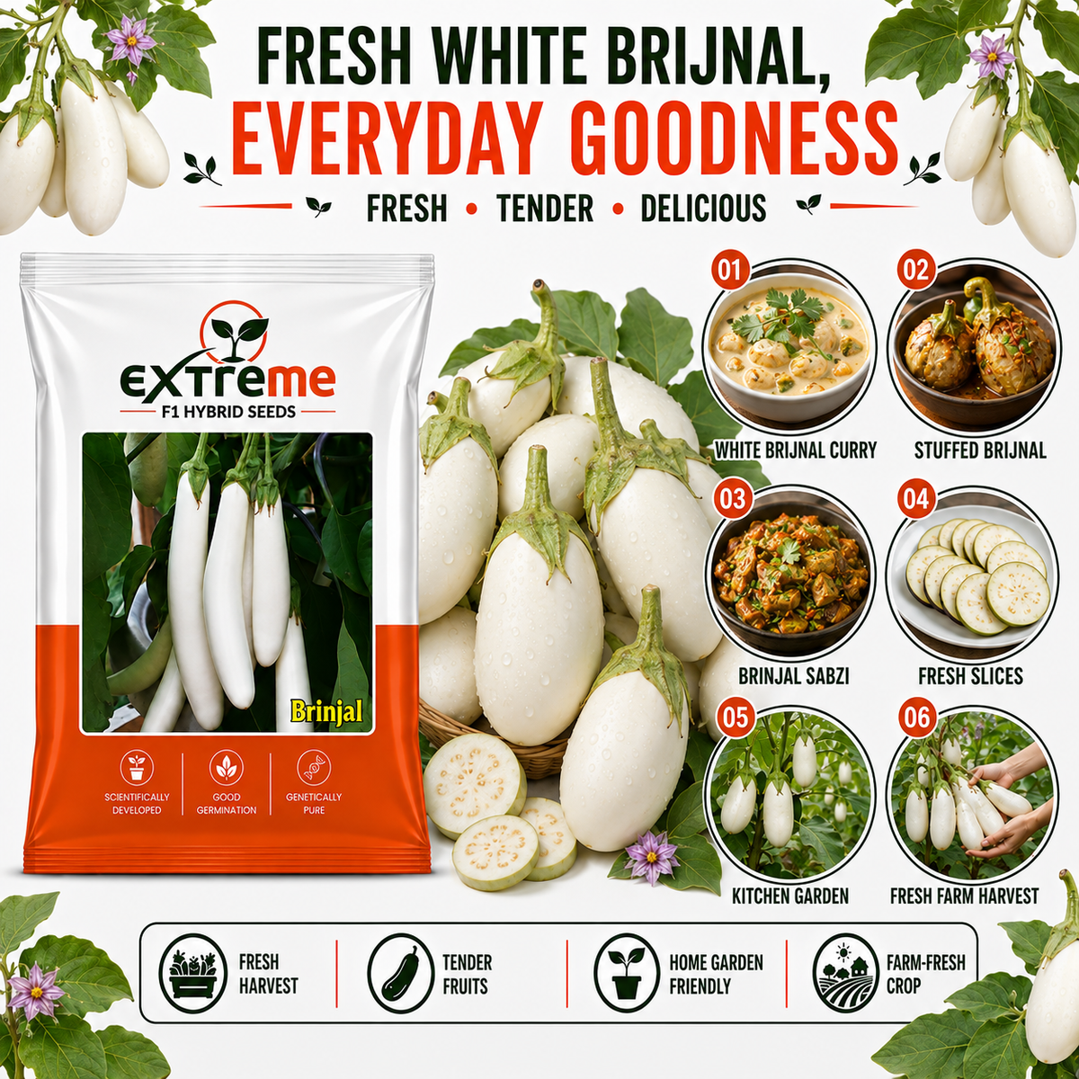 EXTREME F1 Hybrid White Brinjal Seeds for Home Garden & Outdoor Farming | White Eggplant Seeds for Kitchen Garden, Terrace Garden & Vegetable Growing | 1 GM
