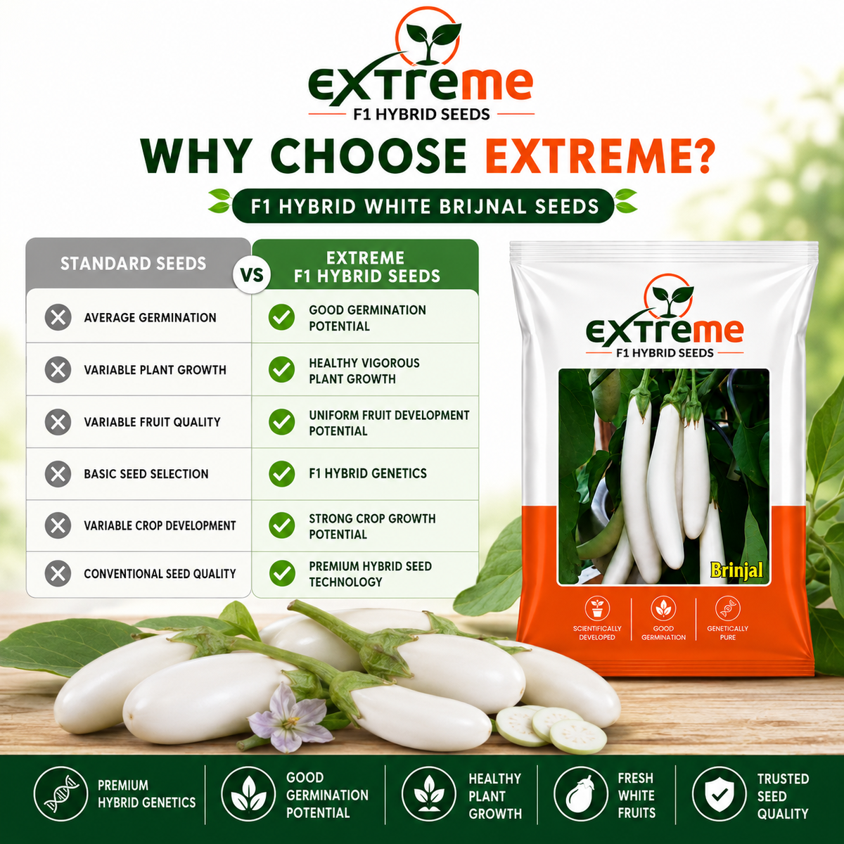 EXTREME F1 Hybrid White Brinjal Seeds for Home Garden & Outdoor Farming | White Eggplant Seeds for Kitchen Garden, Terrace Garden & Vegetable Growing | 1 GM