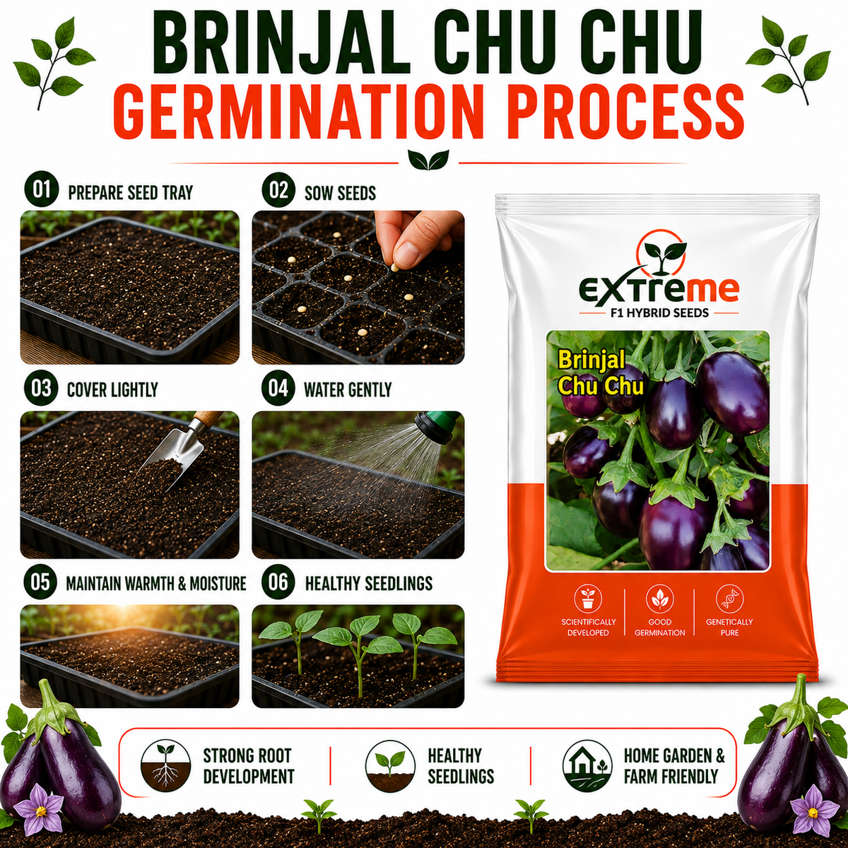 Extreme F1 Hybrid Brinjal Chu Chu Seeds 1 GM | Baingan/Eggplant Vegetable Seeds for Planting | Seeds for Home Garden, Kitchen Garden, Terrace Garden & Outdoor Farming