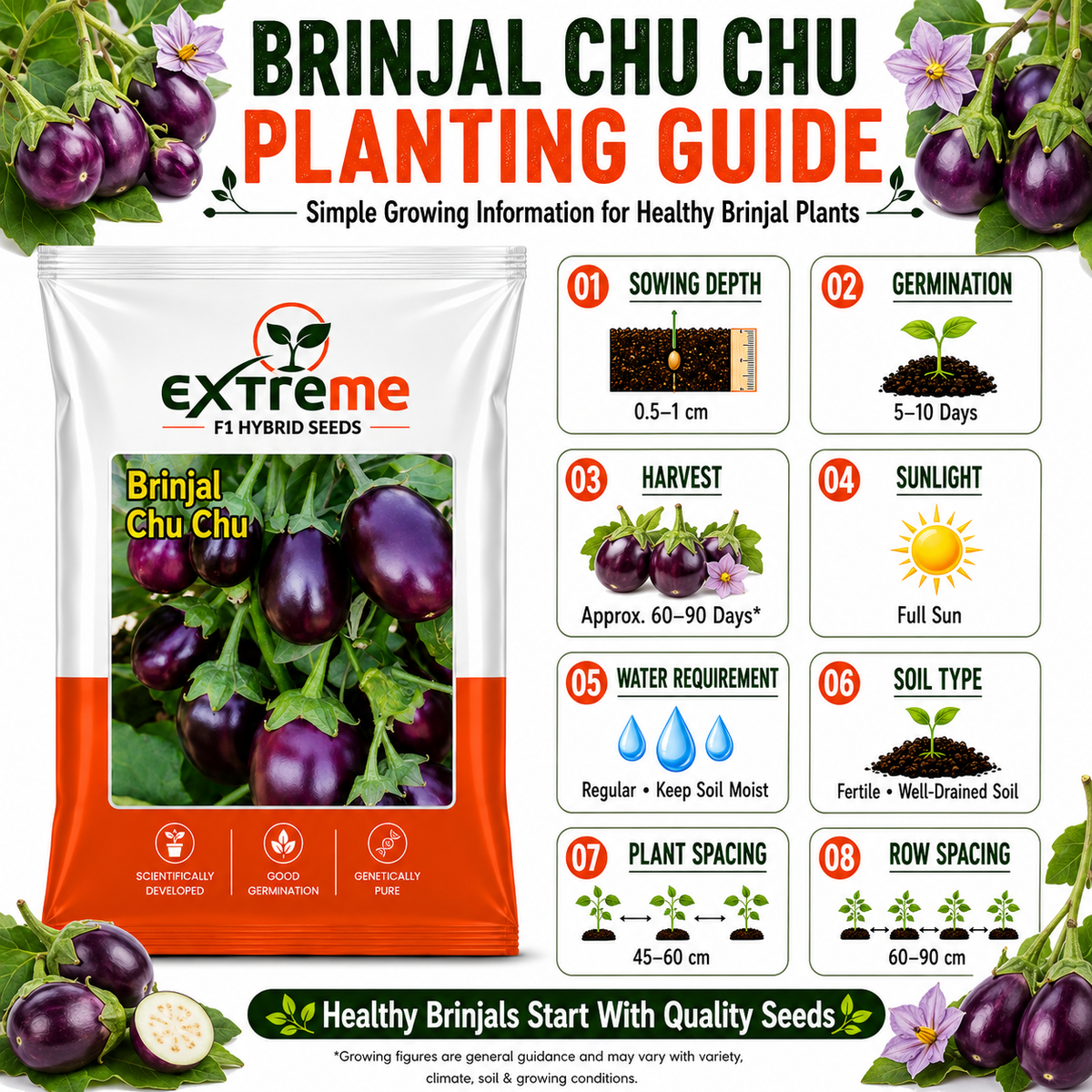Extreme F1 Hybrid Brinjal Chu Chu Seeds 1 GM | Baingan/Eggplant Vegetable Seeds for Planting | Seeds for Home Garden, Kitchen Garden, Terrace Garden & Outdoor Farming