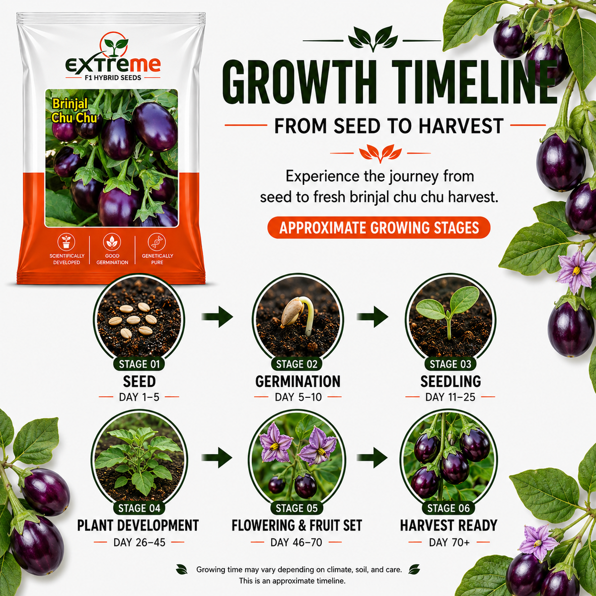 Extreme F1 Hybrid Brinjal Chu Chu Seeds 1 GM | Baingan/Eggplant Vegetable Seeds for Planting | Seeds for Home Garden, Kitchen Garden, Terrace Garden & Outdoor Farming