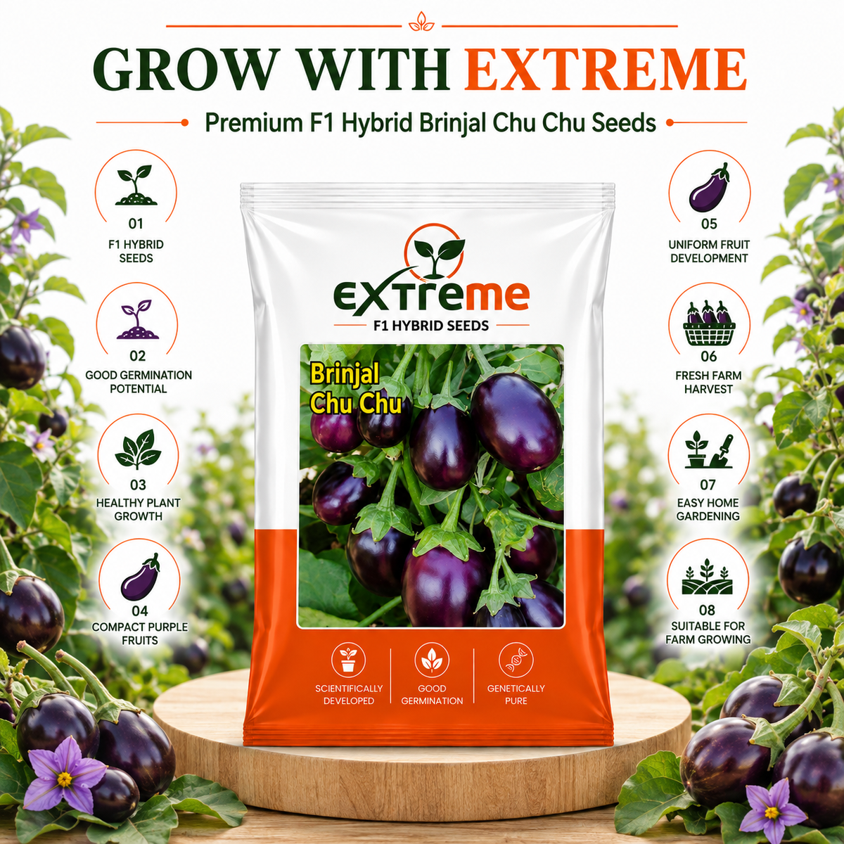 Extreme F1 Hybrid Brinjal Chu Chu Seeds 1 GM | Baingan/Eggplant Vegetable Seeds for Planting | Seeds for Home Garden, Kitchen Garden, Terrace Garden & Outdoor Farming