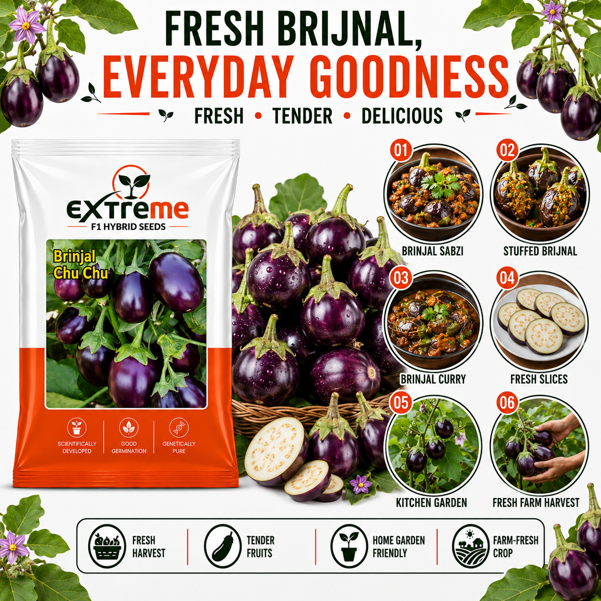 Extreme F1 Hybrid Brinjal Chu Chu Seeds 1 GM | Baingan/Eggplant Vegetable Seeds for Planting | Seeds for Home Garden, Kitchen Garden, Terrace Garden & Outdoor Farming
