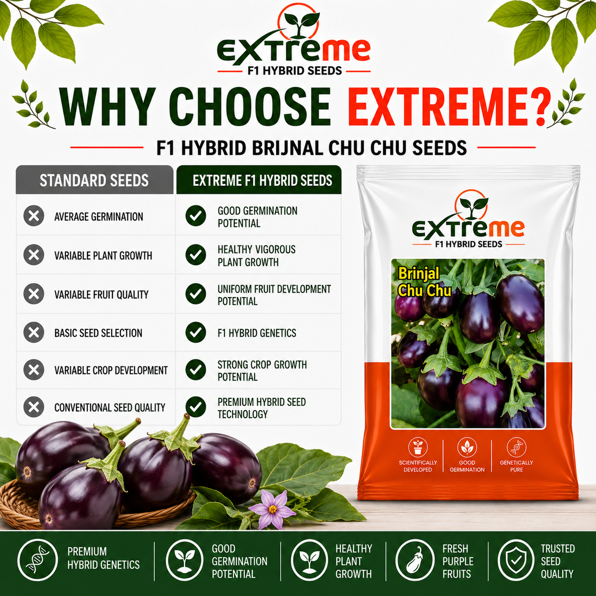 Extreme F1 Hybrid Brinjal Chu Chu Seeds 1 GM | Baingan/Eggplant Vegetable Seeds for Planting | Seeds for Home Garden, Kitchen Garden, Terrace Garden & Outdoor Farming