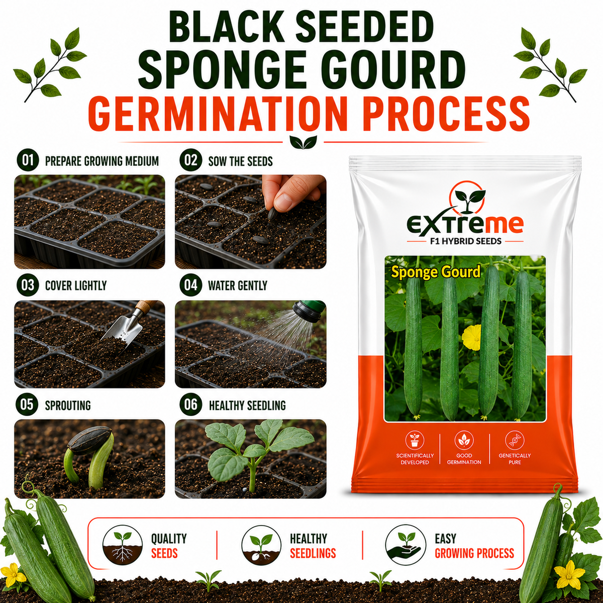 Extreme F1 Hybrid Black Sponge Gourd Seeds 5 GM | Turai/Tori/Gilki Vegetable Seeds for Planting | Seeds for Home Garden, Kitchen Garden, Terrace Garden & Outdoor Farming