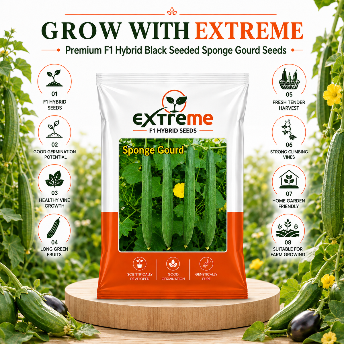 Extreme F1 Hybrid Black Sponge Gourd Seeds 5 GM | Turai/Tori/Gilki Vegetable Seeds for Planting | Seeds for Home Garden, Kitchen Garden, Terrace Garden & Outdoor Farming