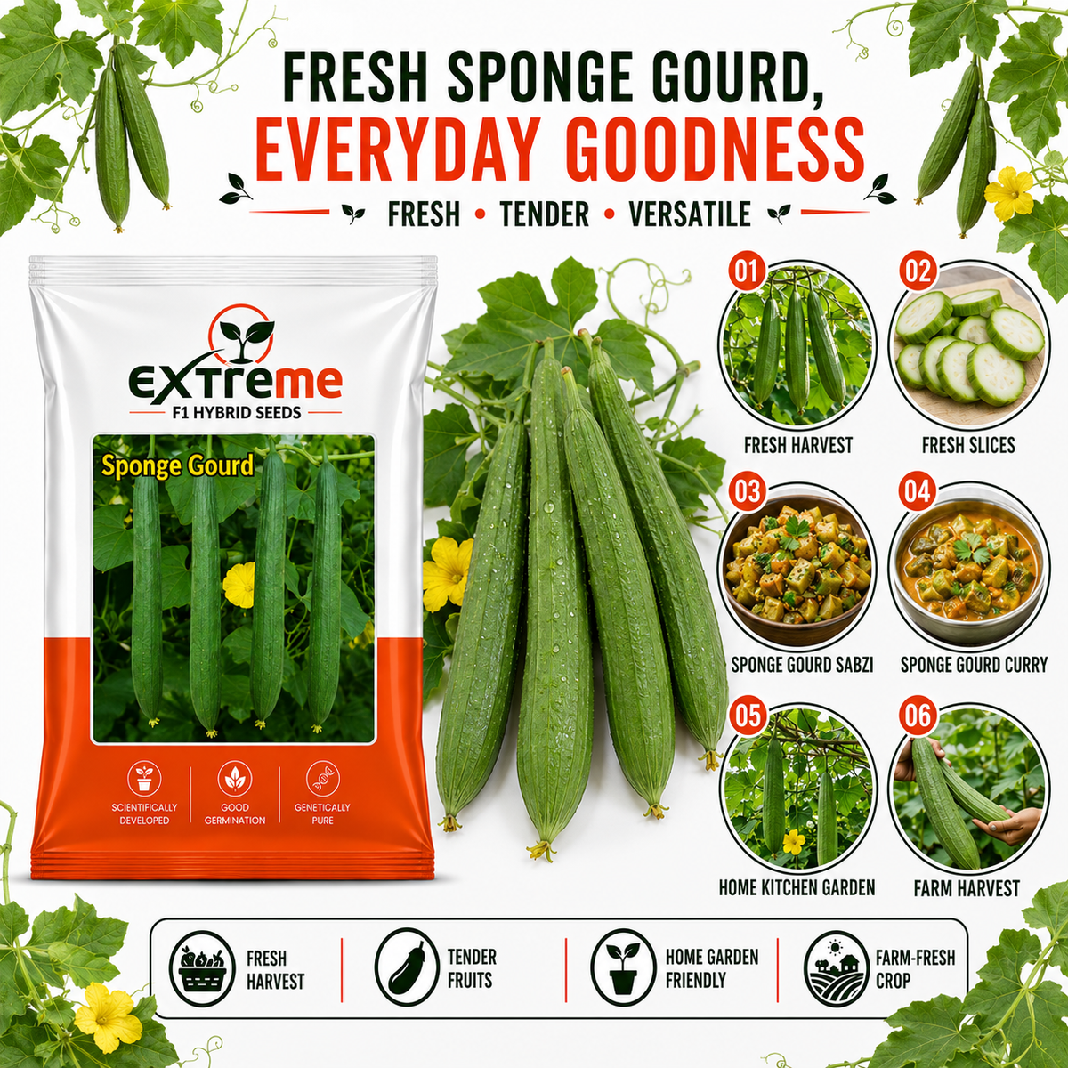 Extreme F1 Hybrid Black Sponge Gourd Seeds 5 GM | Turai/Tori/Gilki Vegetable Seeds for Planting | Seeds for Home Garden, Kitchen Garden, Terrace Garden & Outdoor Farming
