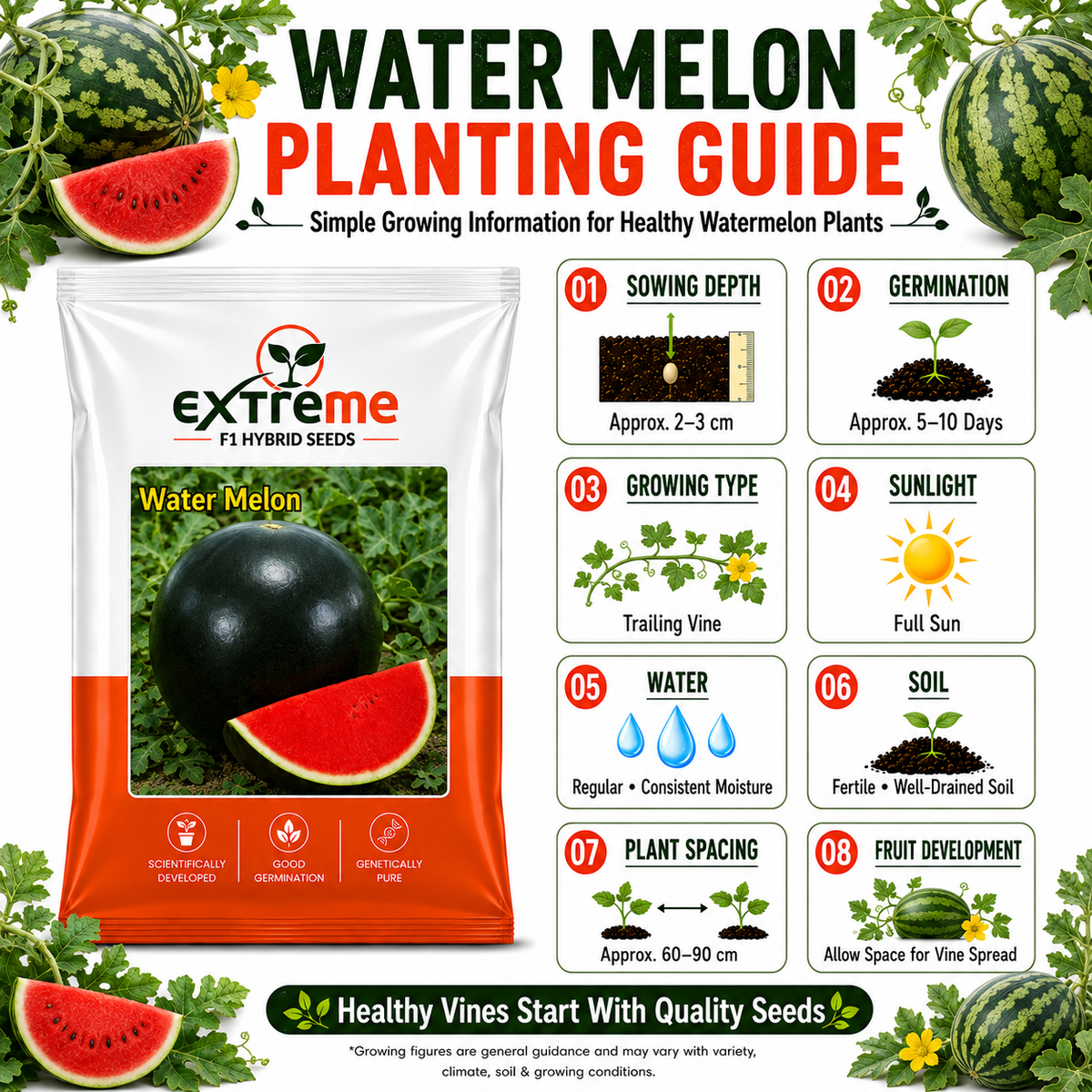 EXTREME F1 Hybrid Watermelon Seeds for Home Garden, Kitchen, Terrace Garden & Outdoor Growing | Premium Tarbooz for Fresh Fruit Cultivation | Pack of 20 Seeds
