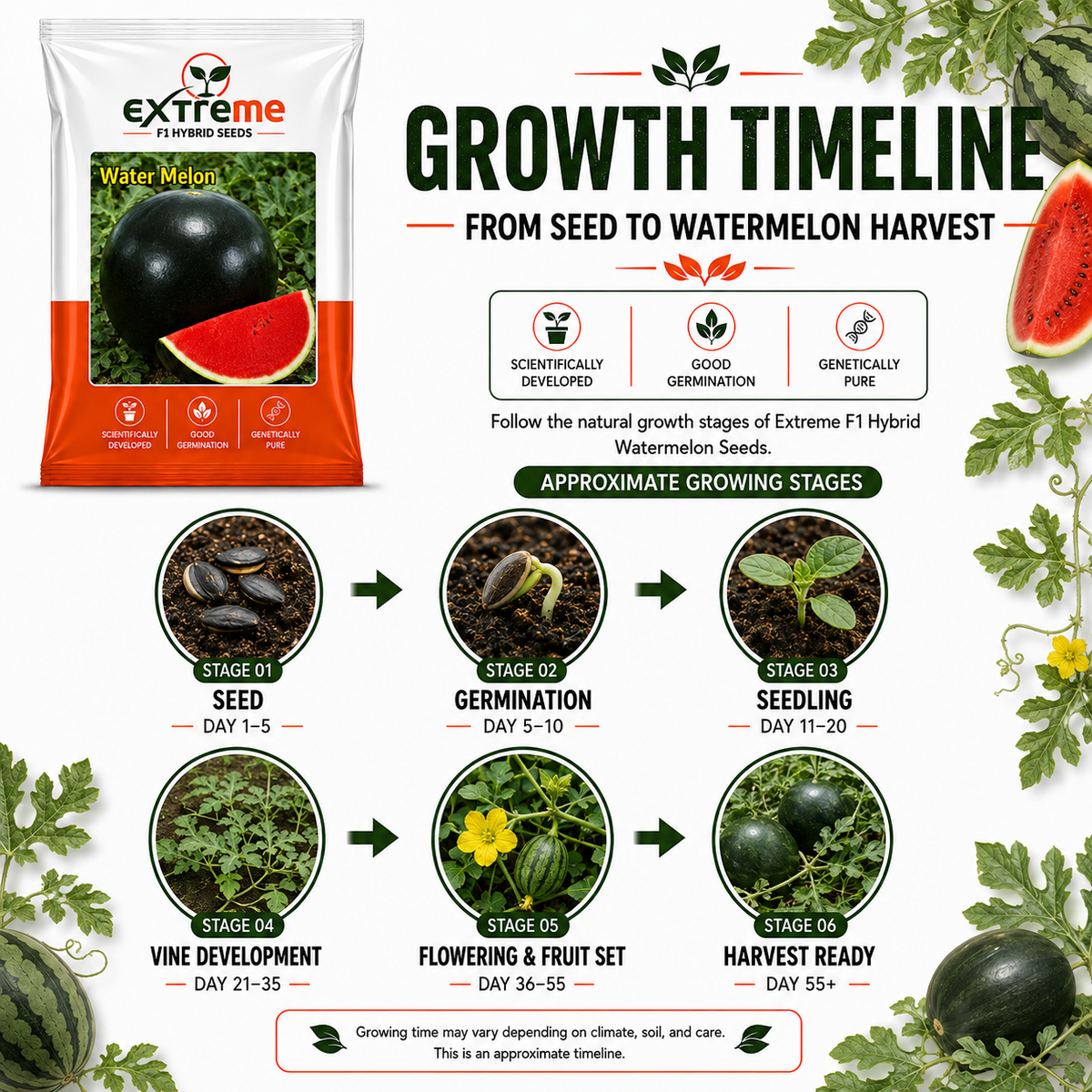 EXTREME F1 Hybrid Watermelon Seeds for Home Garden, Kitchen, Terrace Garden & Outdoor Growing | Premium Tarbooz for Fresh Fruit Cultivation | Pack of 20 Seeds