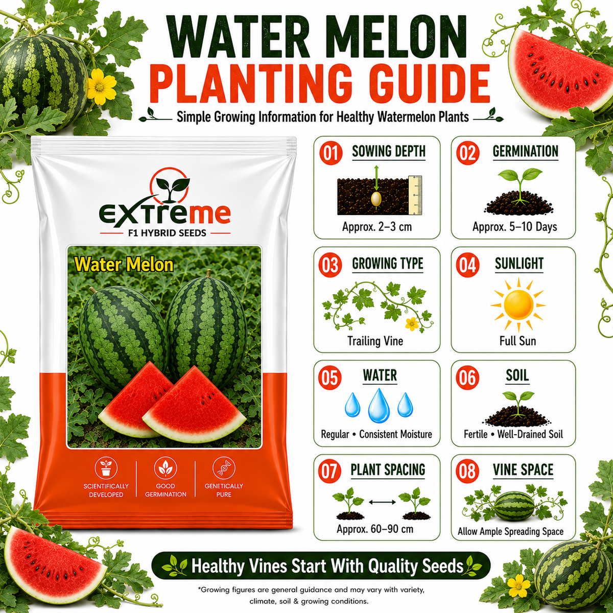 EXTREME F1 Hybrid Watermelon Seeds for Home Garden & Outdoor Farming | Tarbooz Seeds for Kitchen Garden, Terrace Garden & Fresh Fruit Growing | 20 Seeds