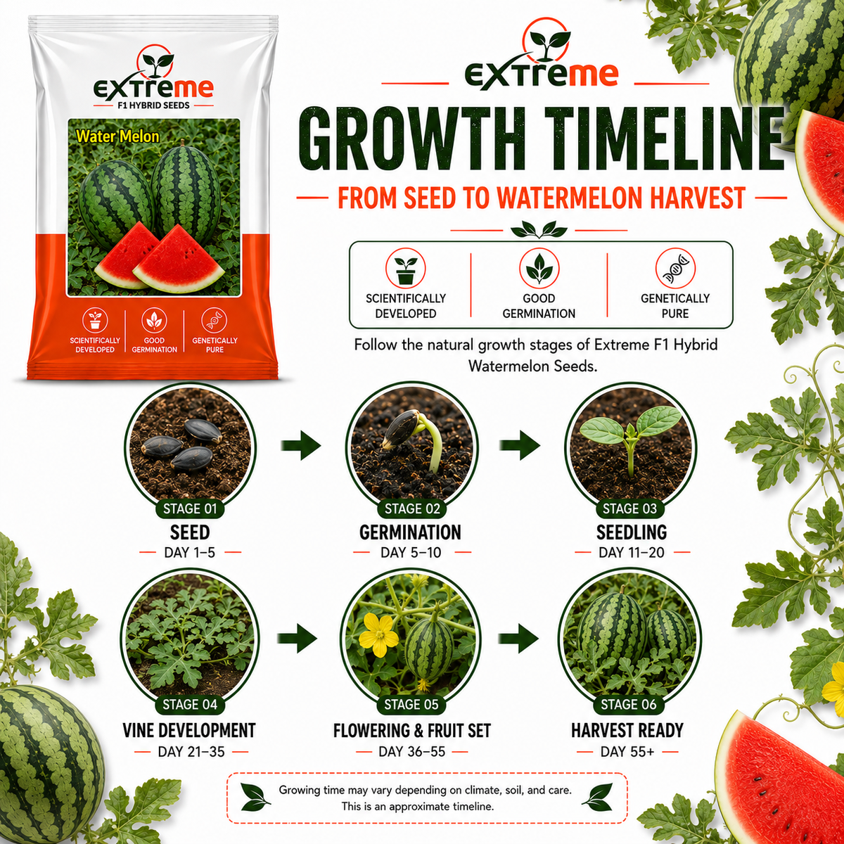 EXTREME F1 Hybrid Watermelon Seeds for Home Garden & Outdoor Farming | Tarbooz Seeds for Kitchen Garden, Terrace Garden & Fresh Fruit Growing | 20 Seeds
