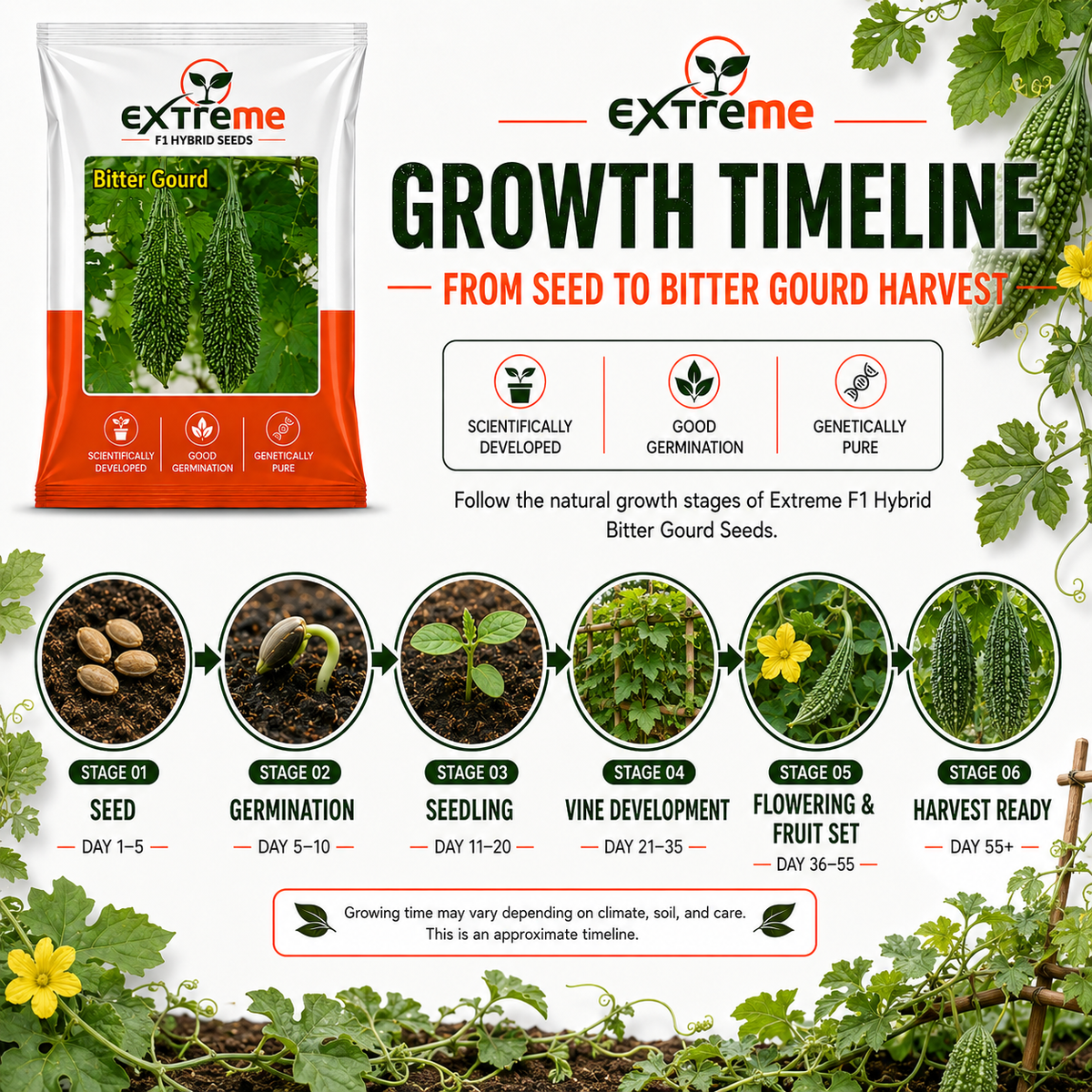 Extreme F1 Hybrid Bitter Gourd Seeds 10 GM | Karela Seeds for Planting | Bitter Melon Vegetable Seeds for Home, Kitchen, Terrace Garden & Outdoor Farming
