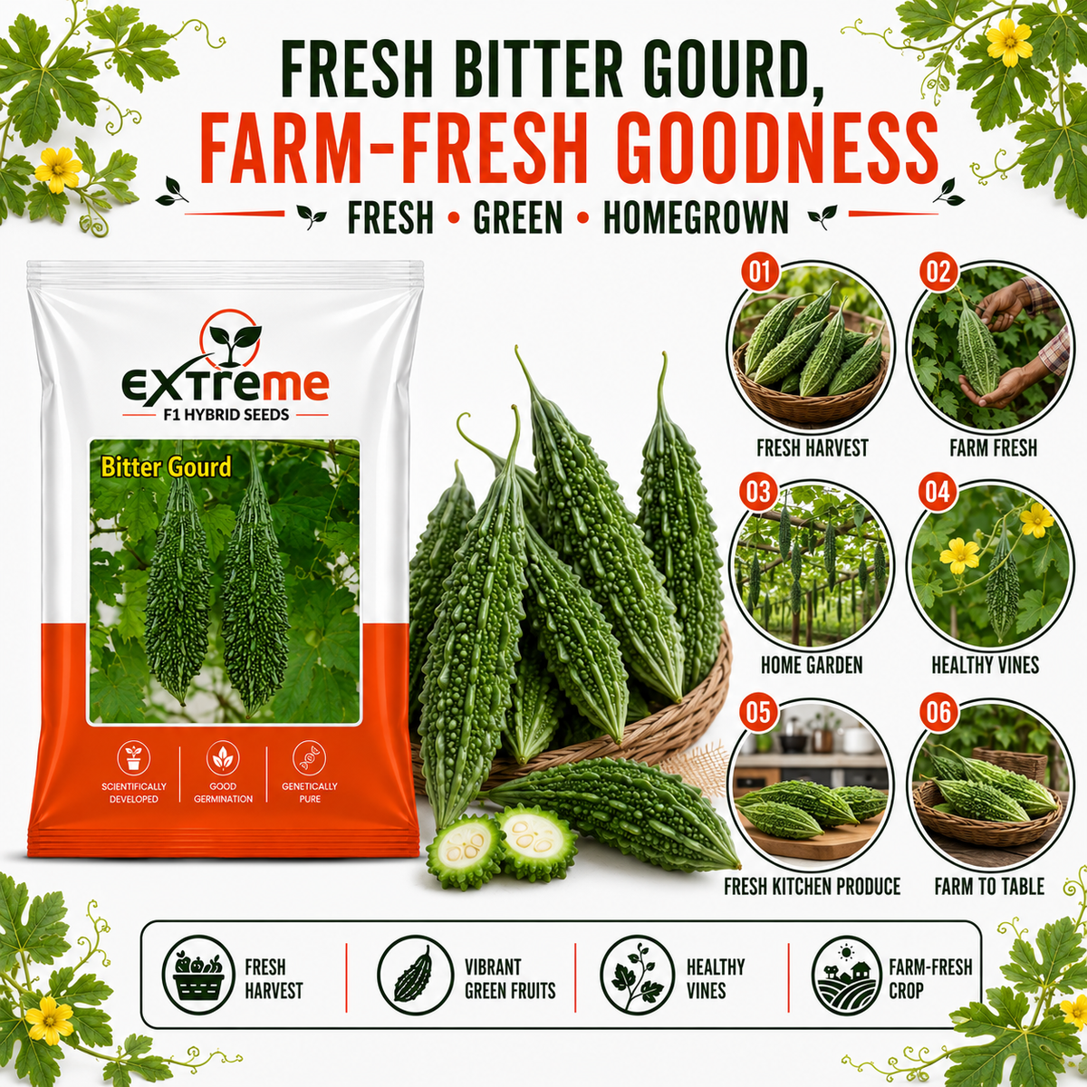 Extreme F1 Hybrid Bitter Gourd Seeds 10 GM | Karela Seeds for Planting | Bitter Melon Vegetable Seeds for Home, Kitchen, Terrace Garden & Outdoor Farming