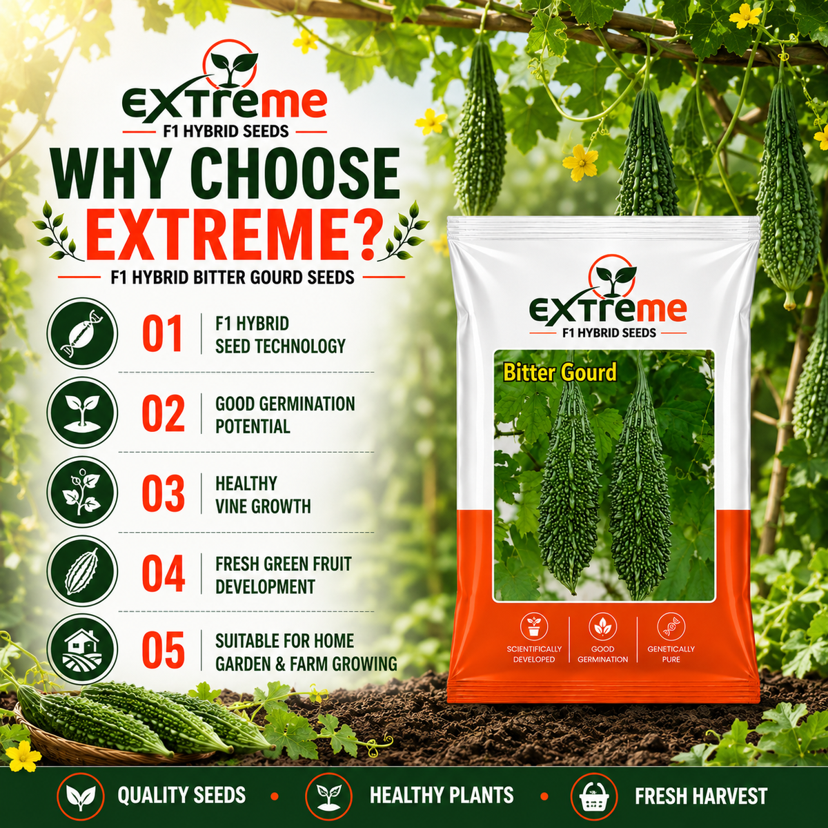 Extreme F1 Hybrid Bitter Gourd Seeds 10 GM | Karela Seeds for Planting | Bitter Melon Vegetable Seeds for Home, Kitchen, Terrace Garden & Outdoor Farming