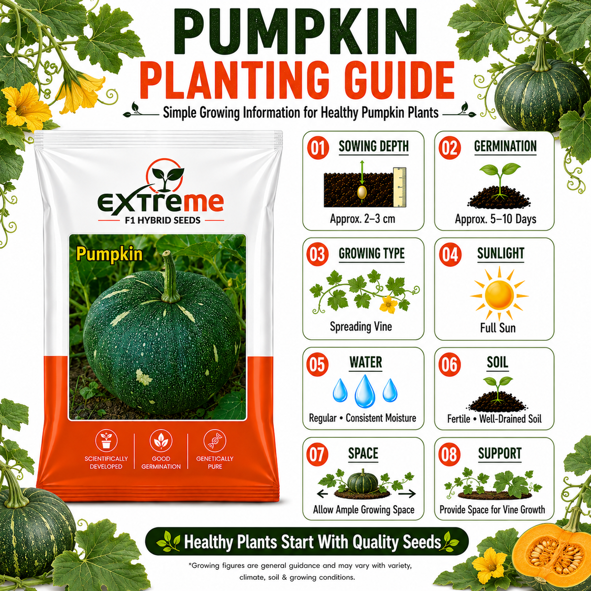 Extreme F1 Hybrid Pumpkin Seeds 5 GM | Premium Kaddu Seeds | Pumpkin Vegetable Seeds for Home Garden, Kitchen Garden, Terrace Garden, Pots, Grow Bags & Outdoor Farming