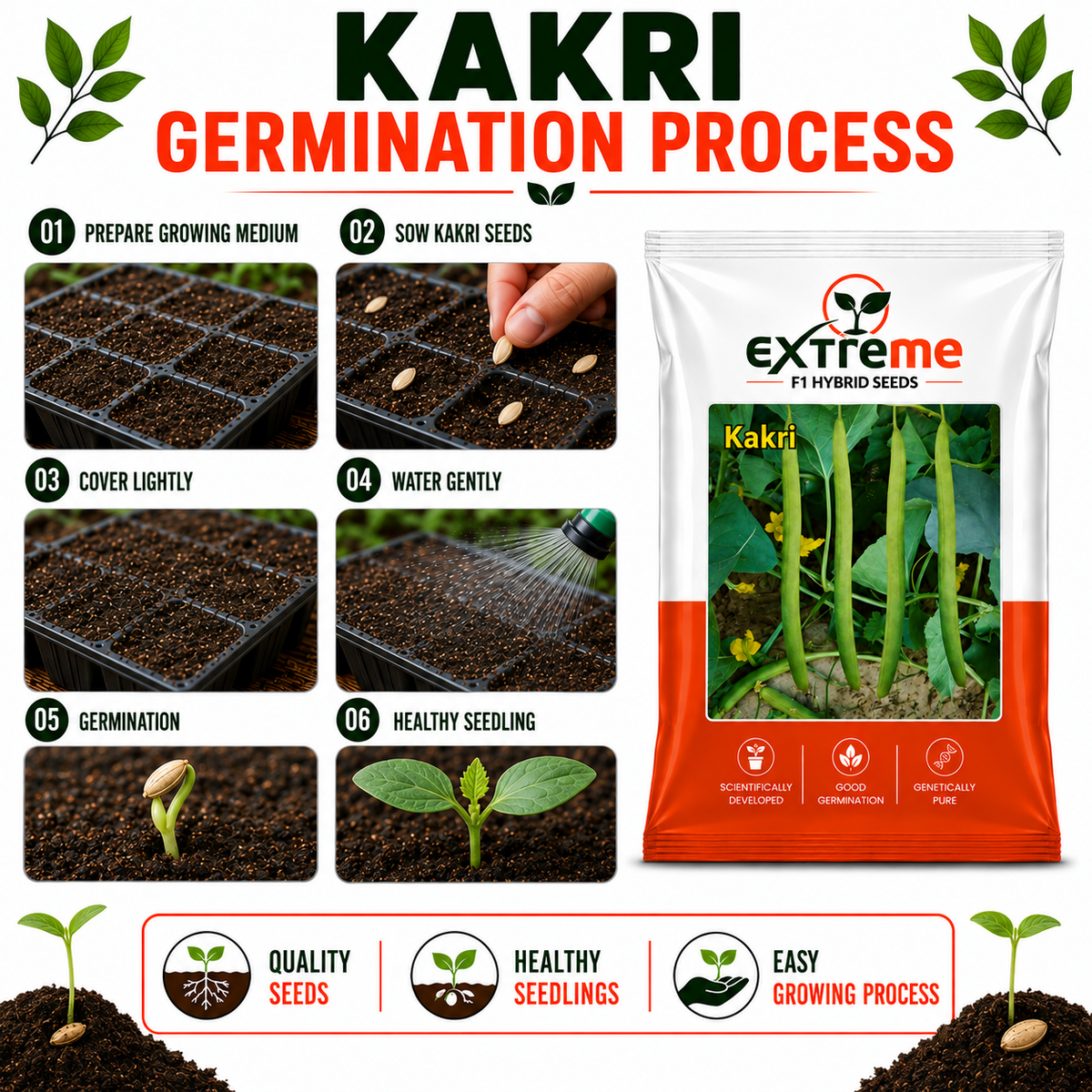 EXTREME F1 Hybrid Tar Kakri Seeds for Home Garden, Kitchen Garden, Terrace Garden & Outdoor Growing | Premium Vegetable Seeds for Fresh Tar Kakri Cultivation | 25 GM Pack