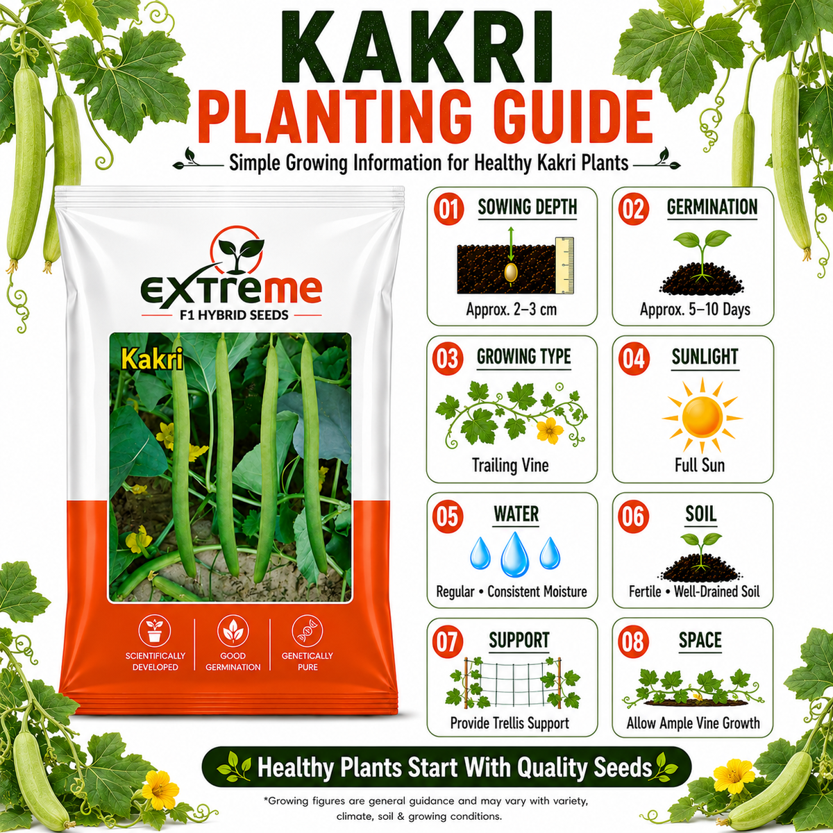 EXTREME F1 Hybrid Tar Kakri Seeds for Home Garden, Kitchen Garden, Terrace Garden & Outdoor Growing | Premium Vegetable Seeds for Fresh Tar Kakri Cultivation | 25 GM Pack