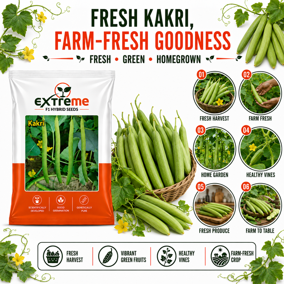 EXTREME F1 Hybrid Tar Kakri Seeds for Home Garden, Kitchen Garden, Terrace Garden & Outdoor Growing | Premium Vegetable Seeds for Fresh Tar Kakri Cultivation | 25 GM Pack