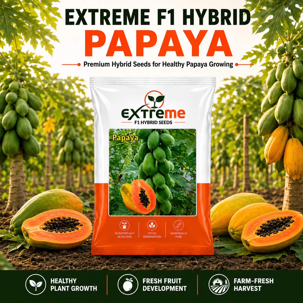 EXTREME F1 Hybrid Papaya Seeds for Home Garden, Kitchen Garden, Terrace Garden & Outdoor Growing | Premium Papaya for Fresh Fruit Cultivation | Pack of 10 Seeds