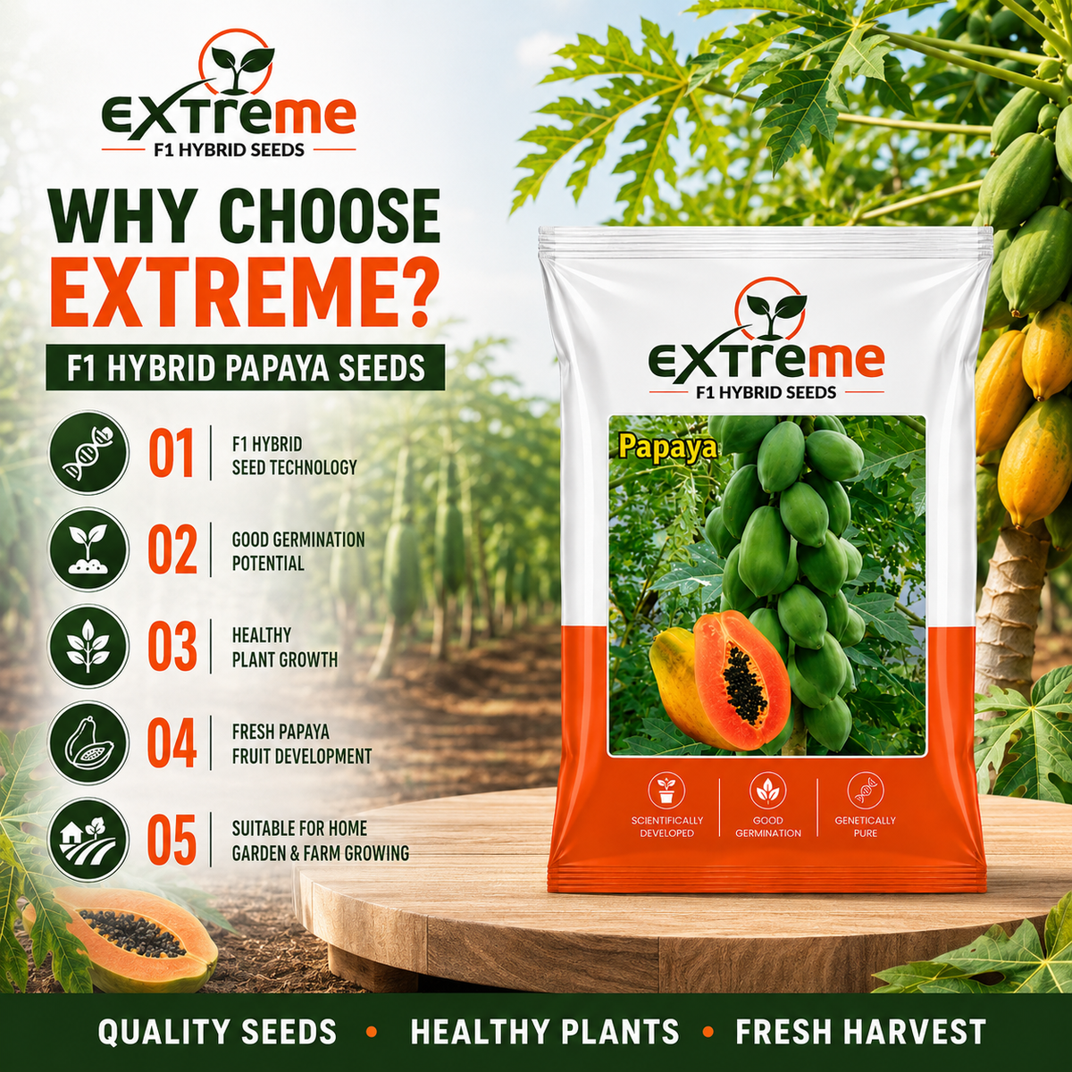 EXTREME F1 Hybrid Papaya Seeds for Home Garden, Kitchen Garden, Terrace Garden & Outdoor Growing | Premium Papaya for Fresh Fruit Cultivation | Pack of 10 Seeds